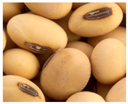 Preprints 145344 i010