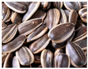 Preprints 145344 i011