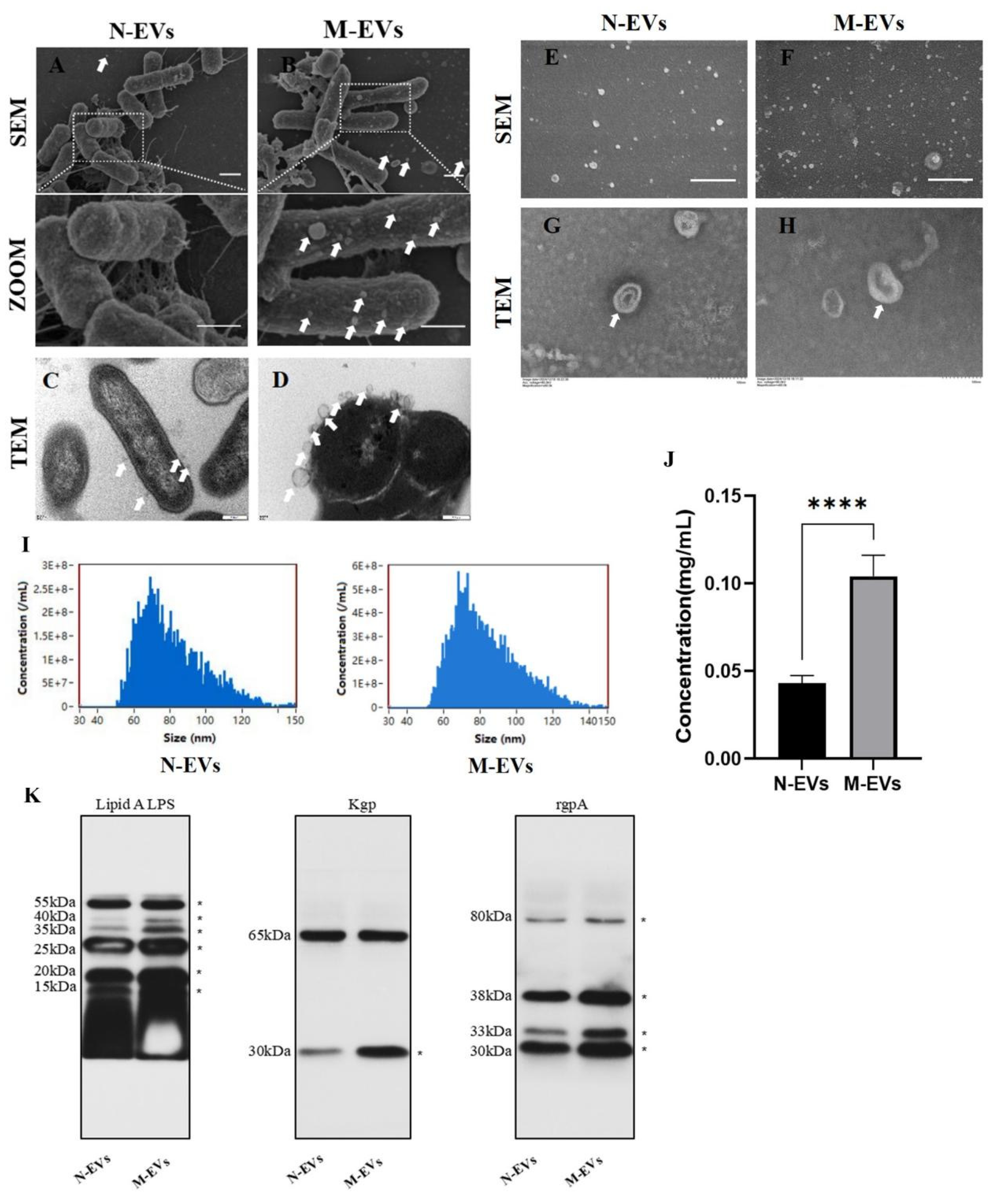 Preprints 187346 g001