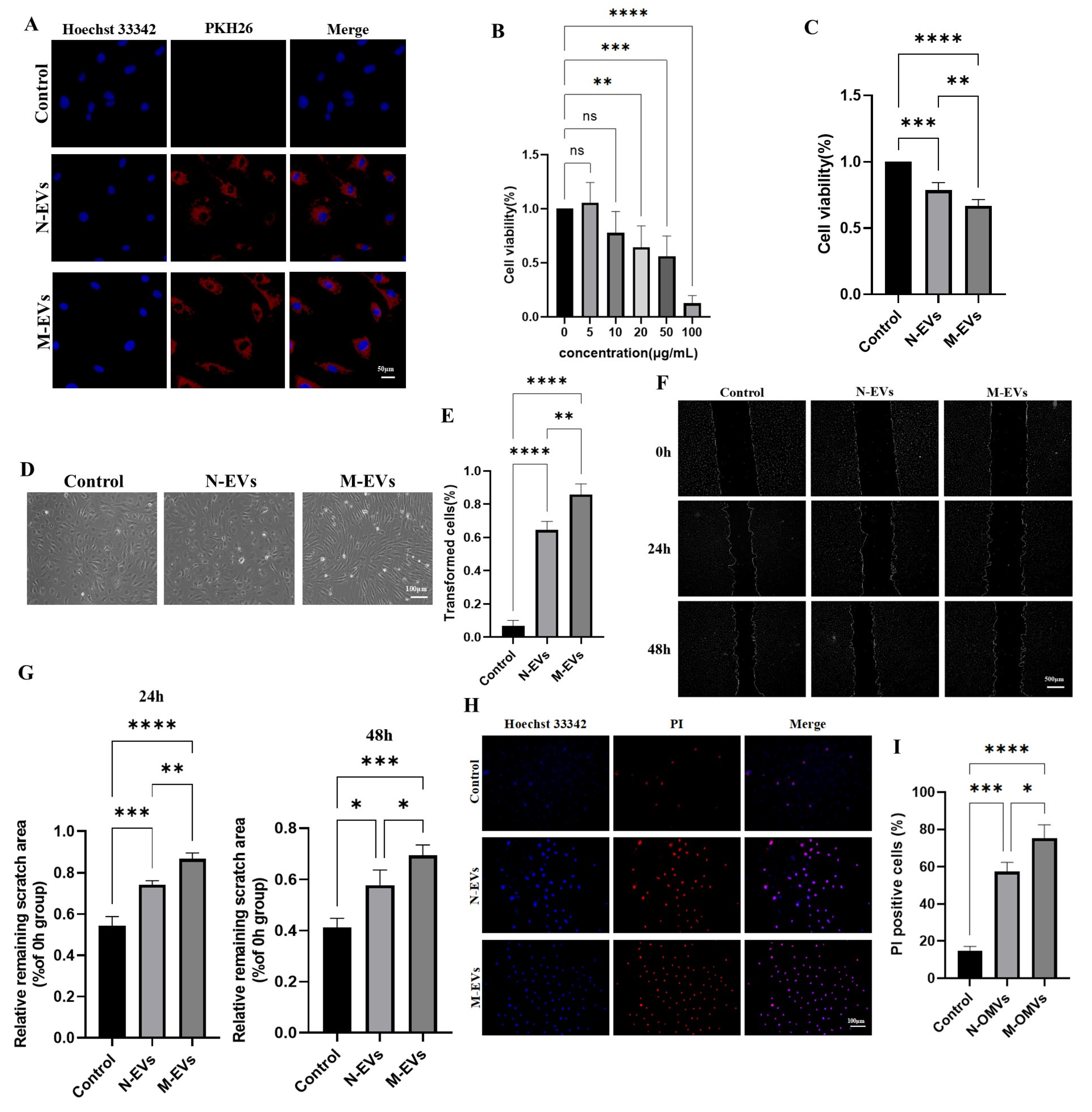 Preprints 187346 g002