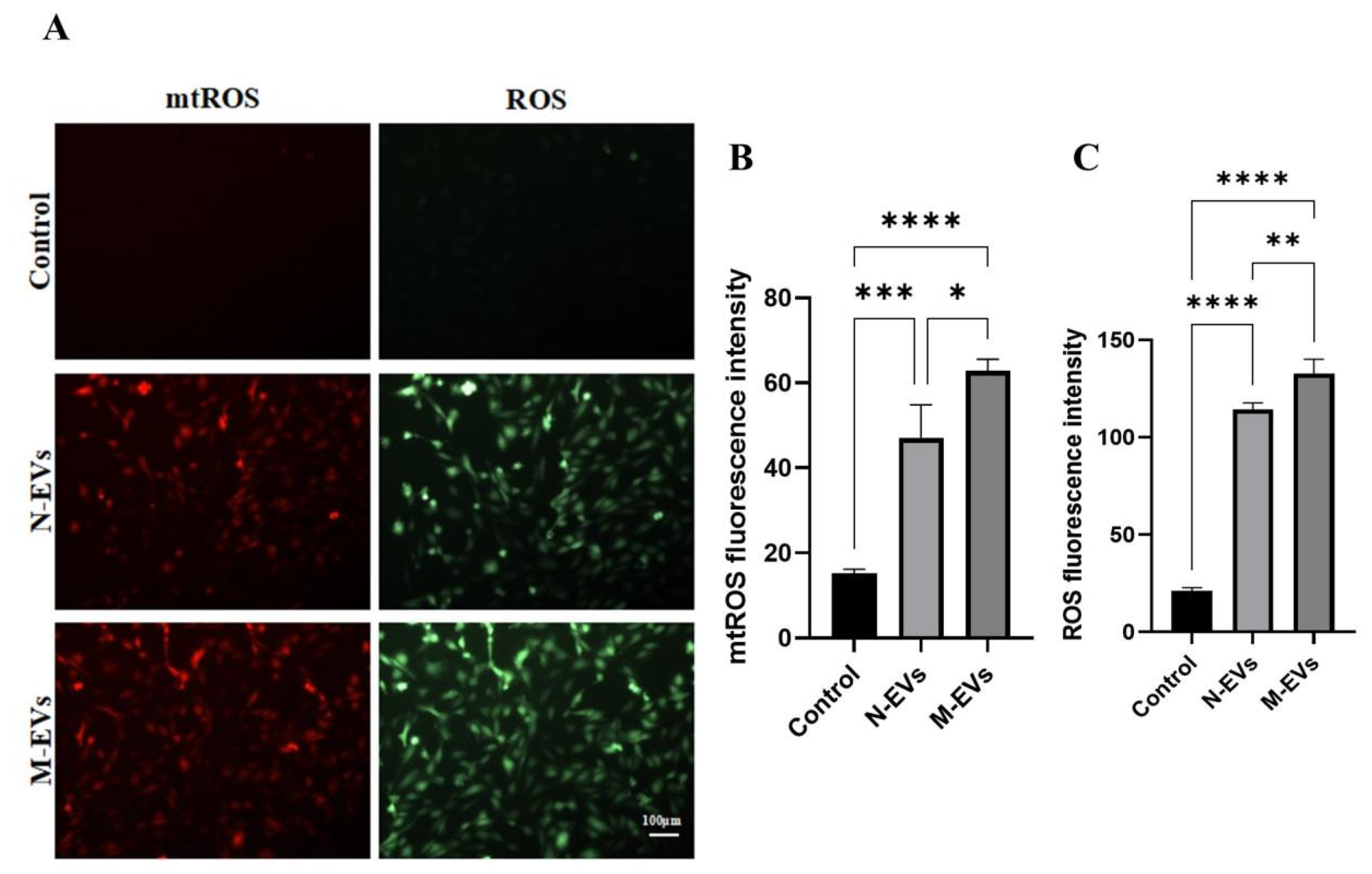 Preprints 187346 g003