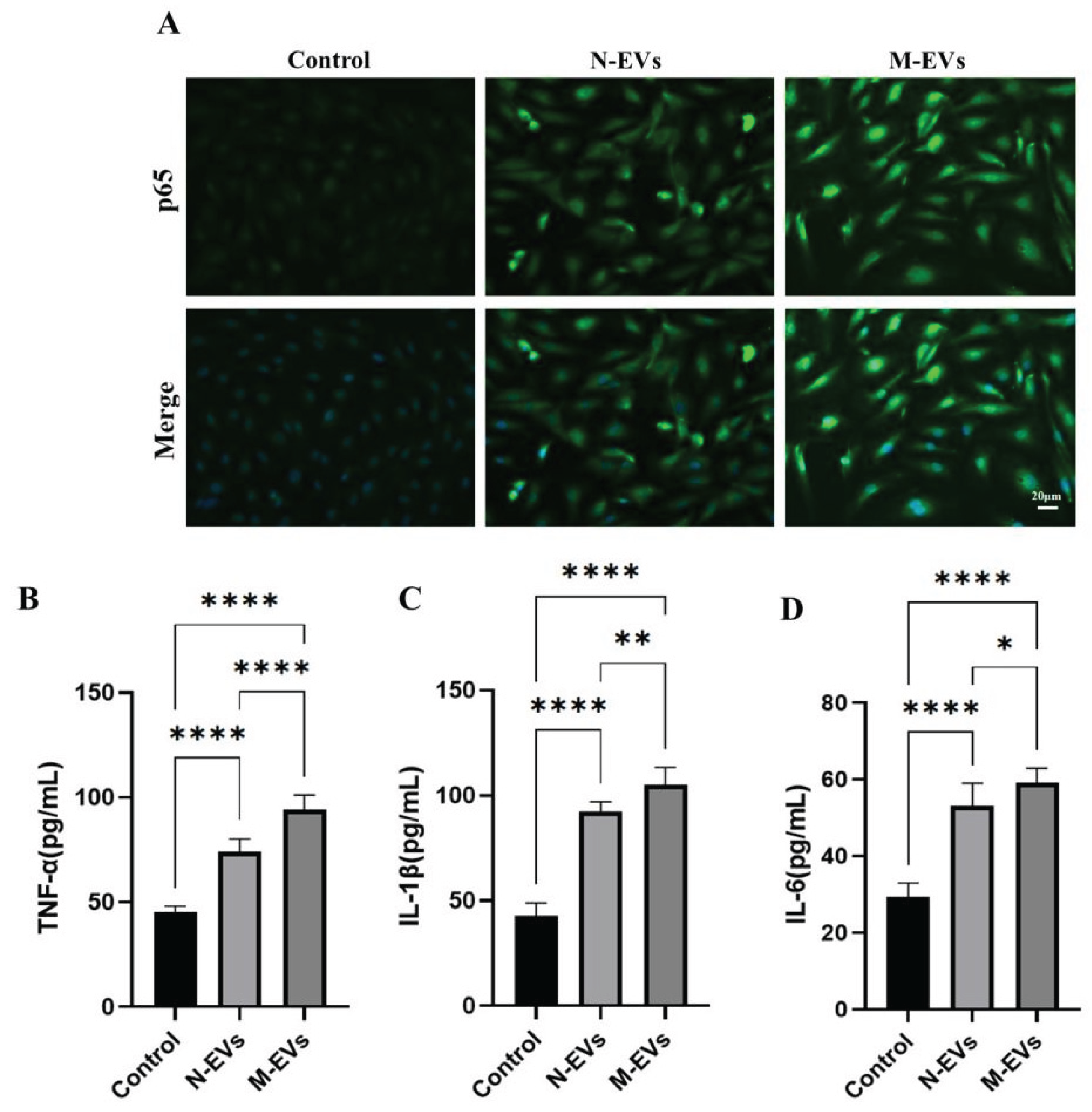 Preprints 187346 g004