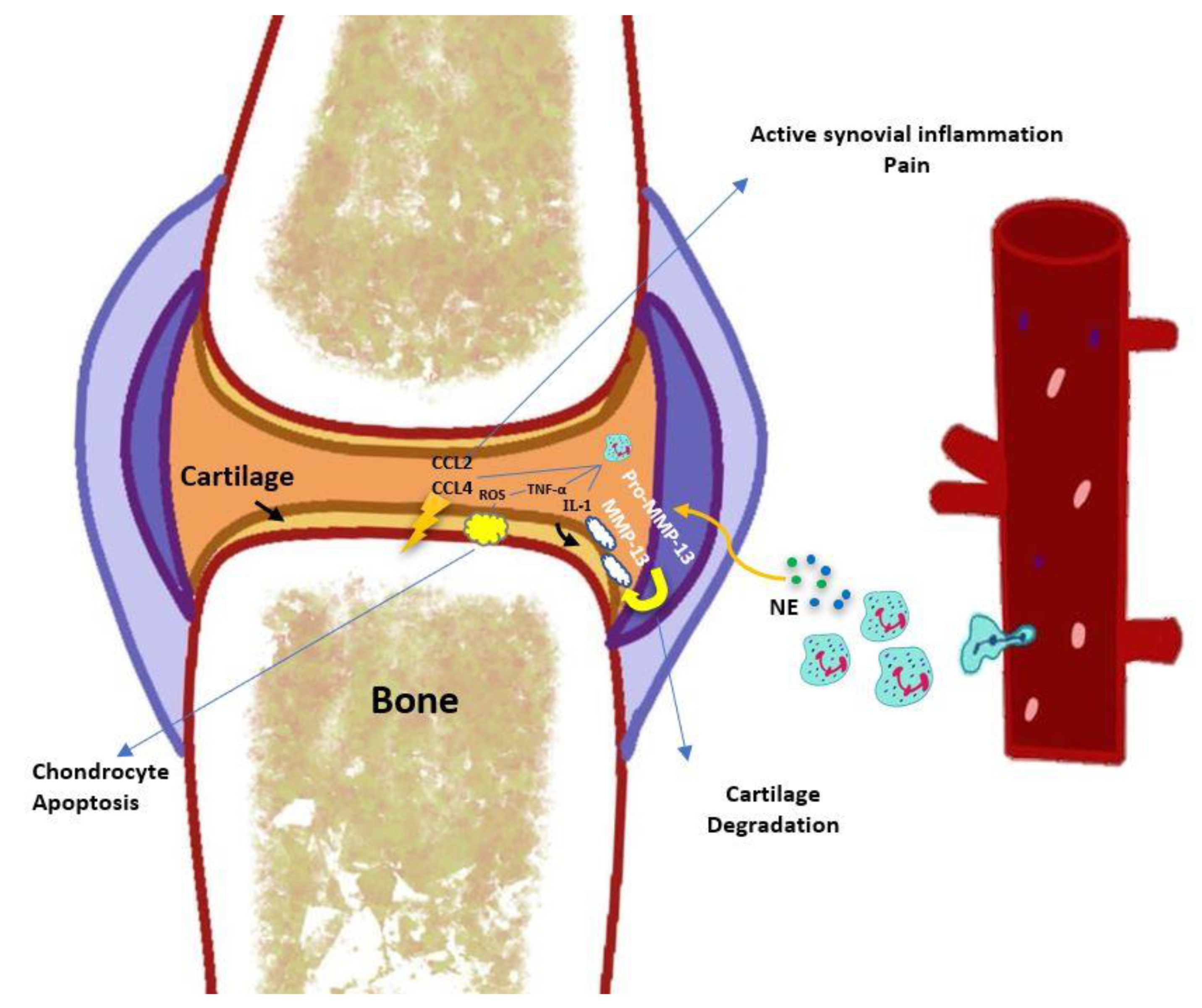 Preprints 75164 g001