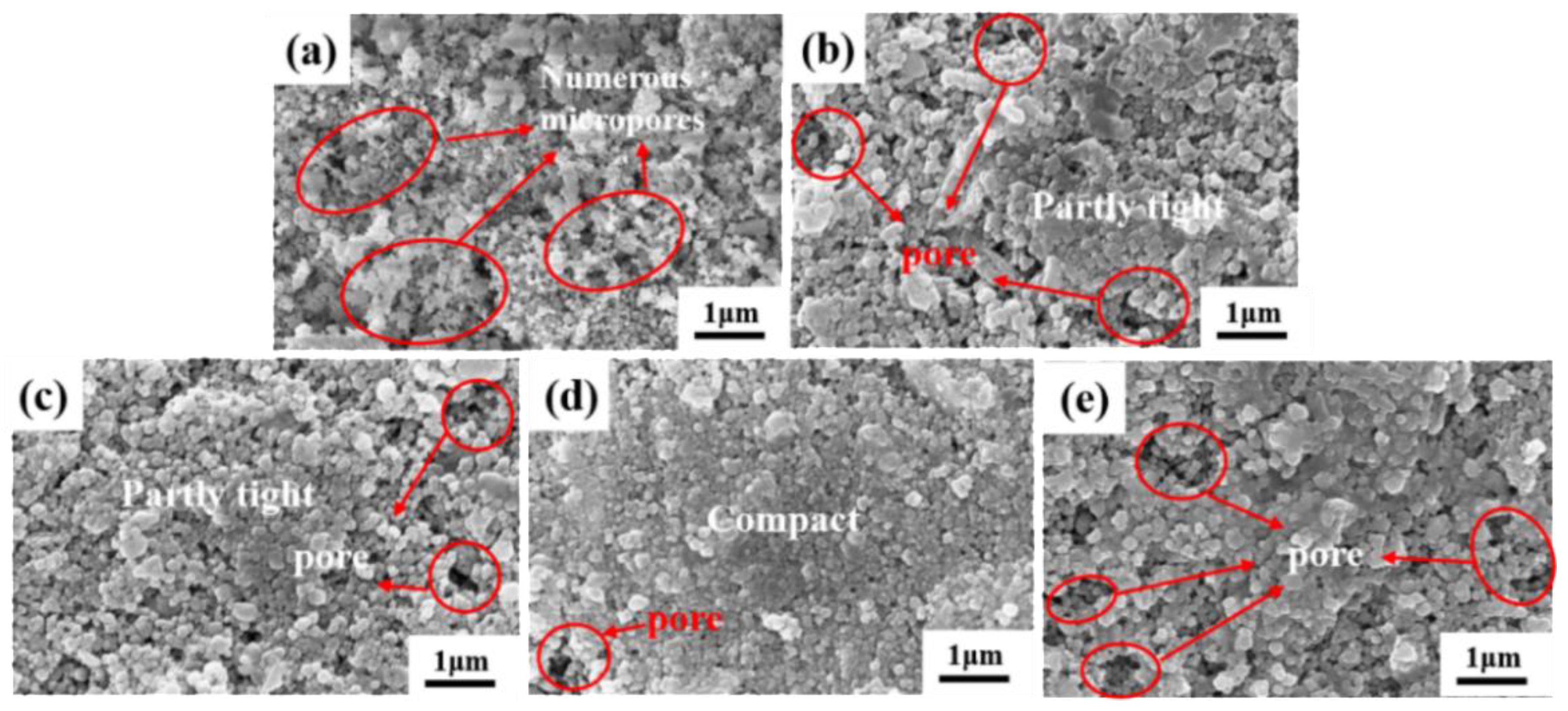 Preprints 190553 g002