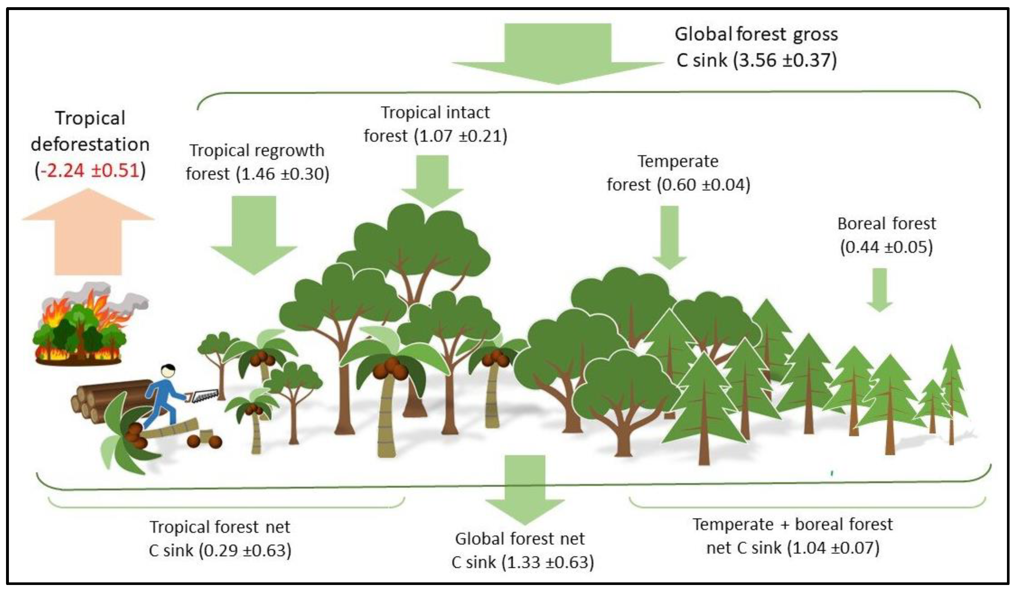 Preprints 159416 g003