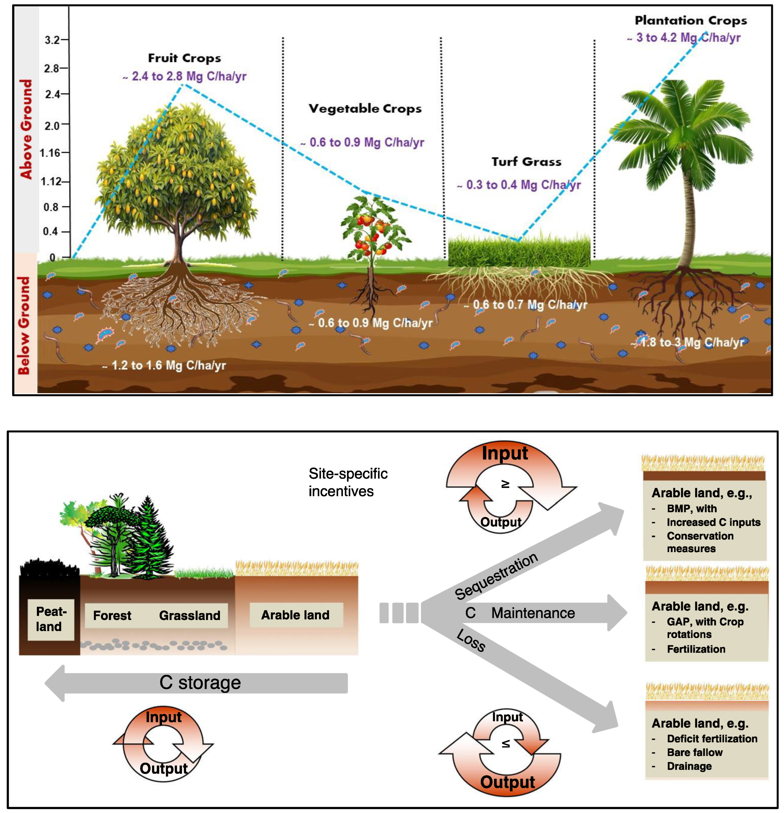 Preprints 159416 g004