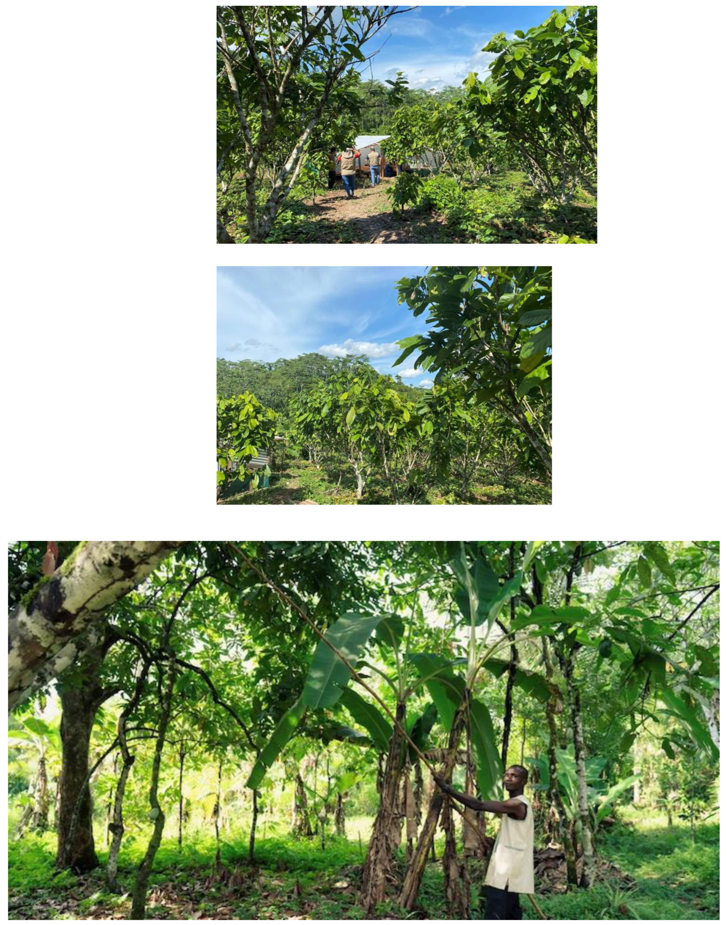 Preprints 159416 g005b