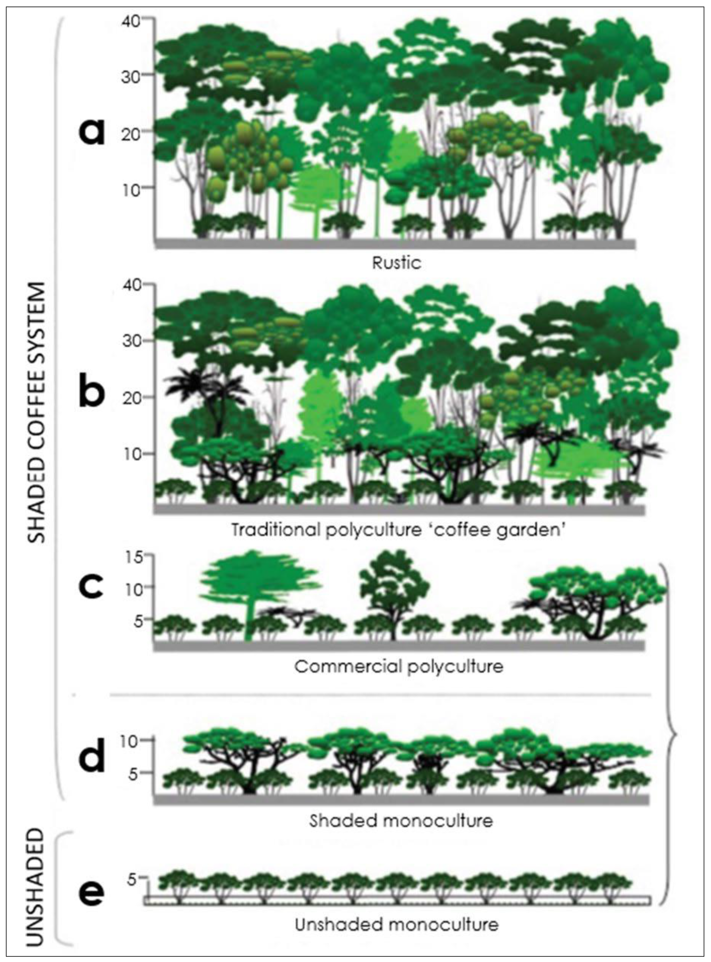 Preprints 159416 g006