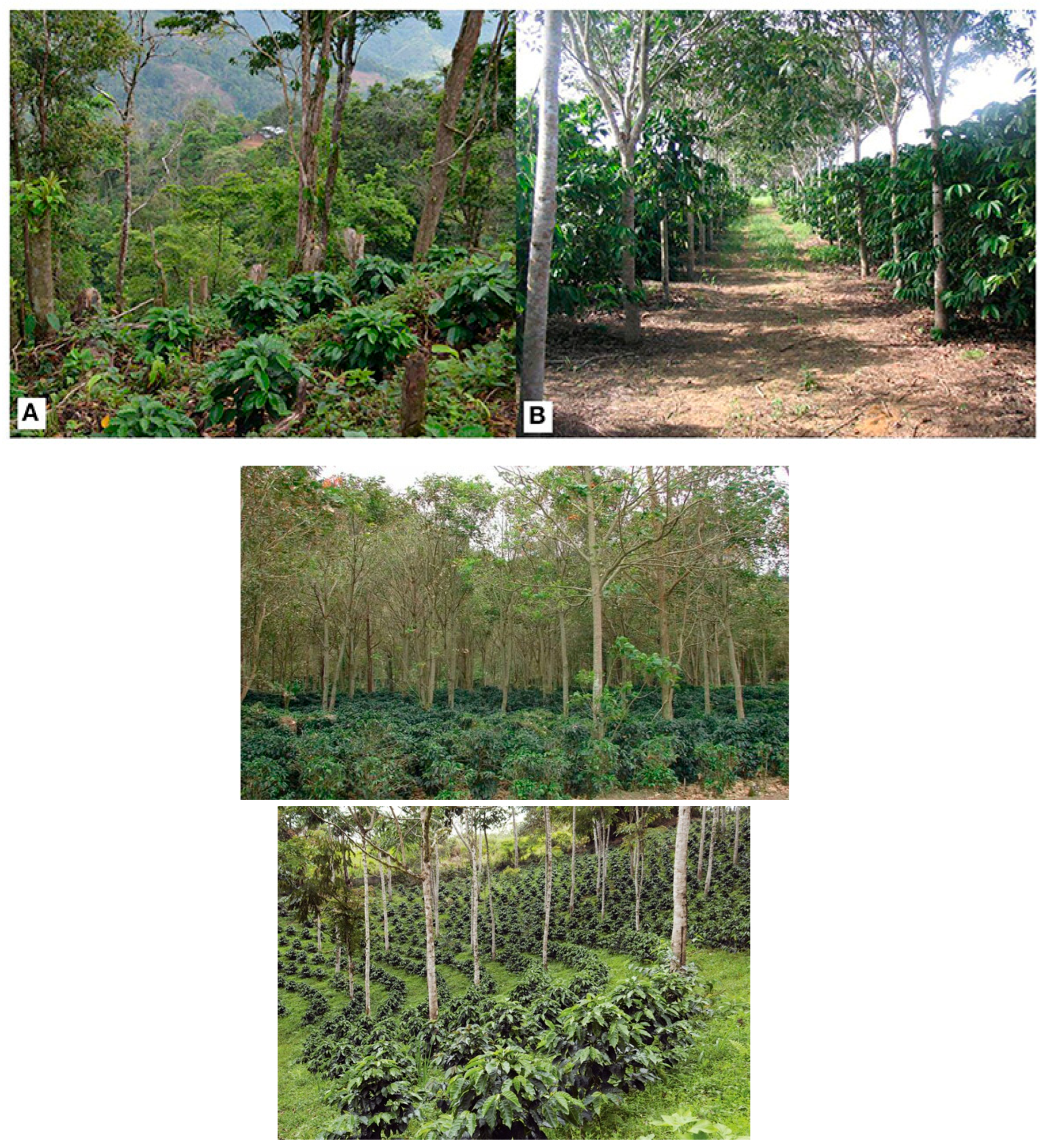 Preprints 159416 g007