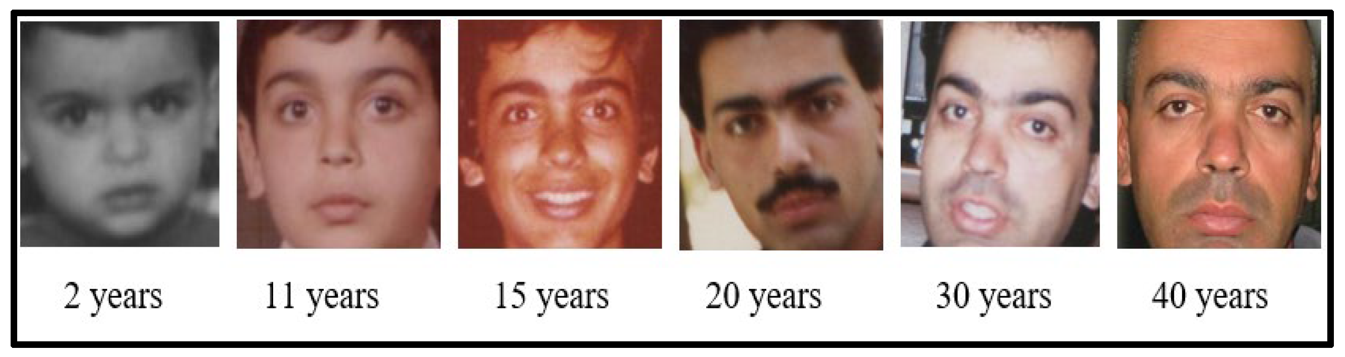 Preprints 142641 g005