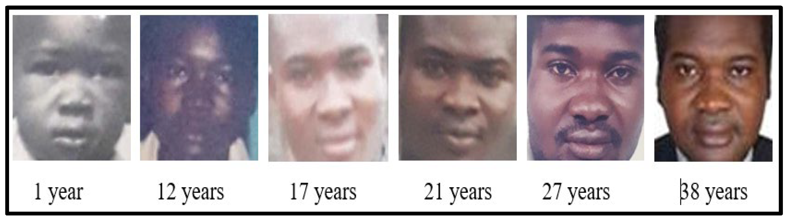 Preprints 142641 g006