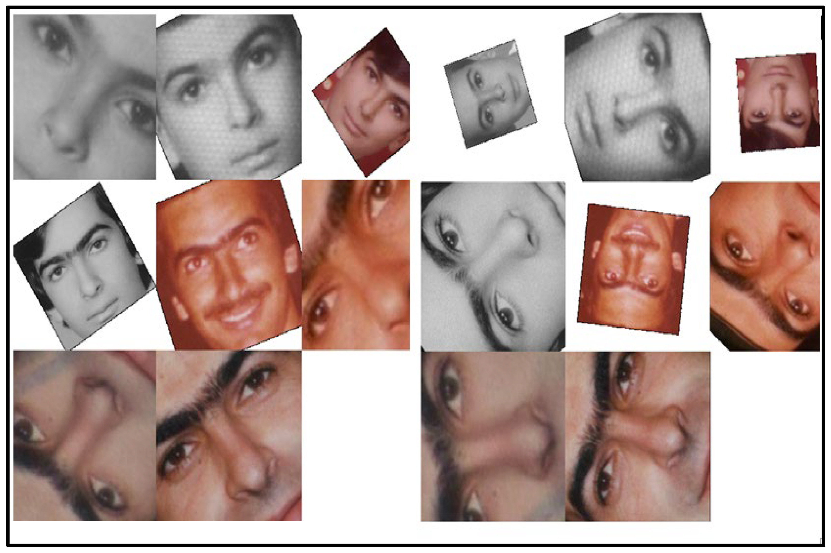 Preprints 142641 g008