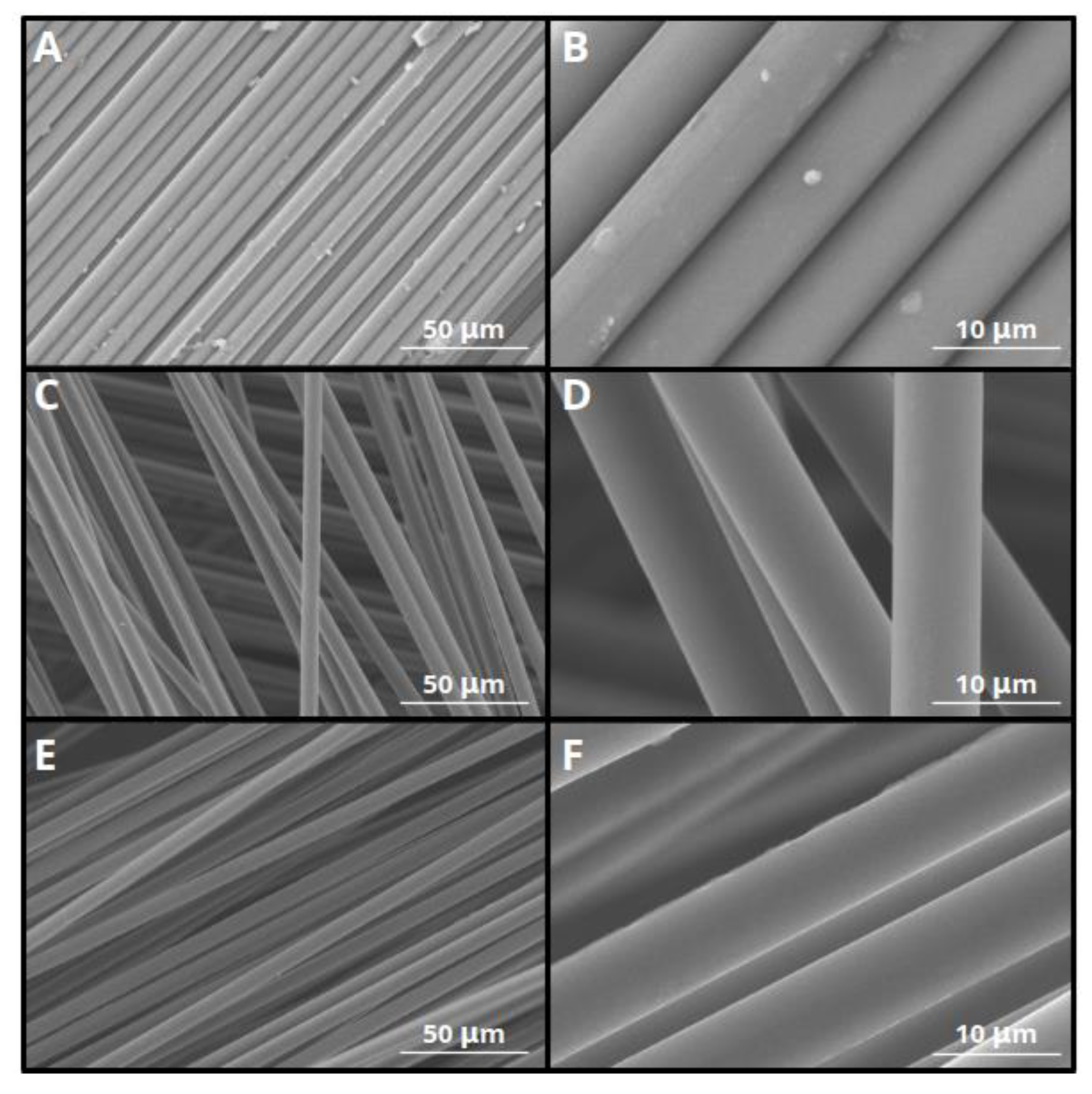 Preprints 117685 g010