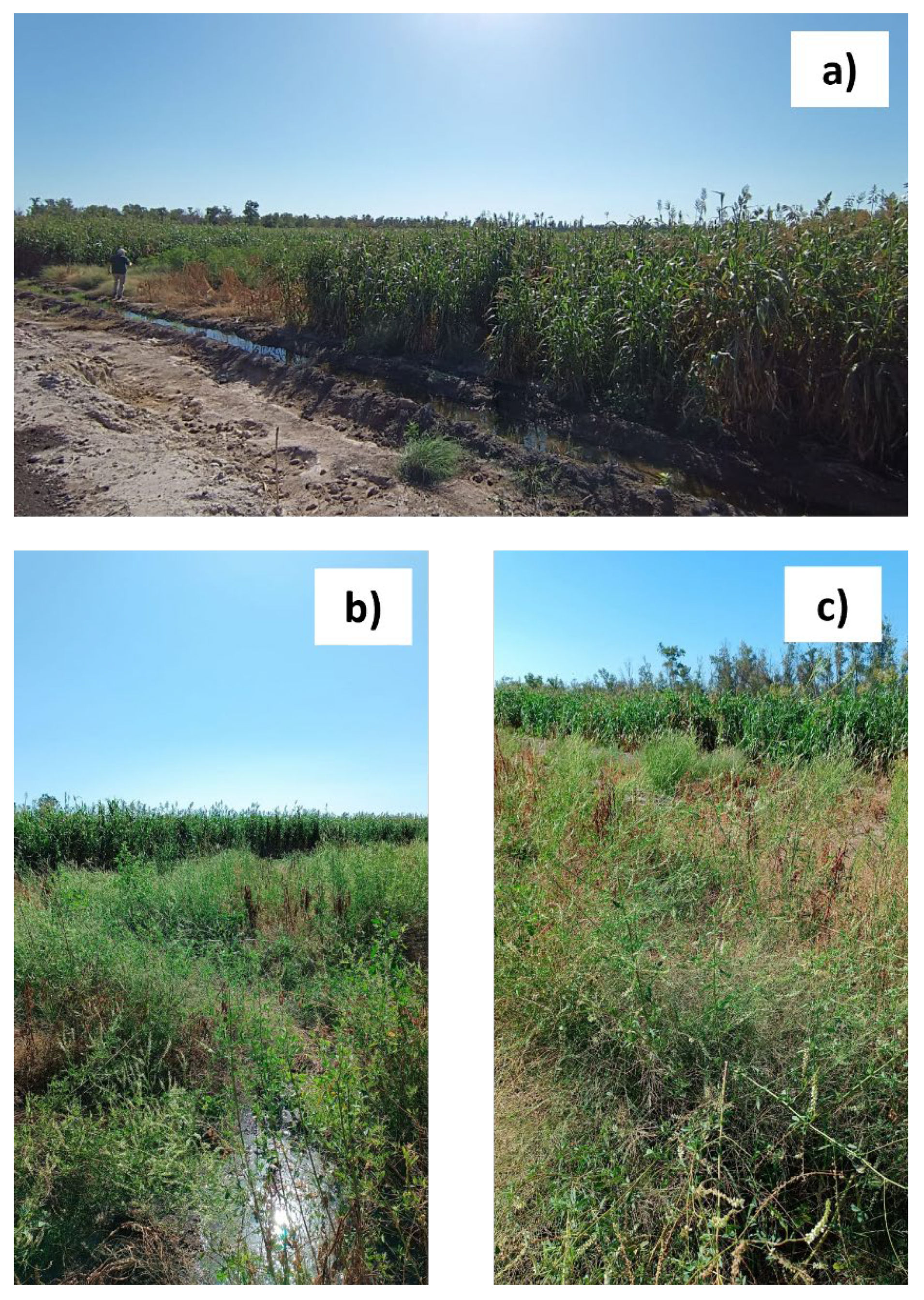 Preprints 138715 g002