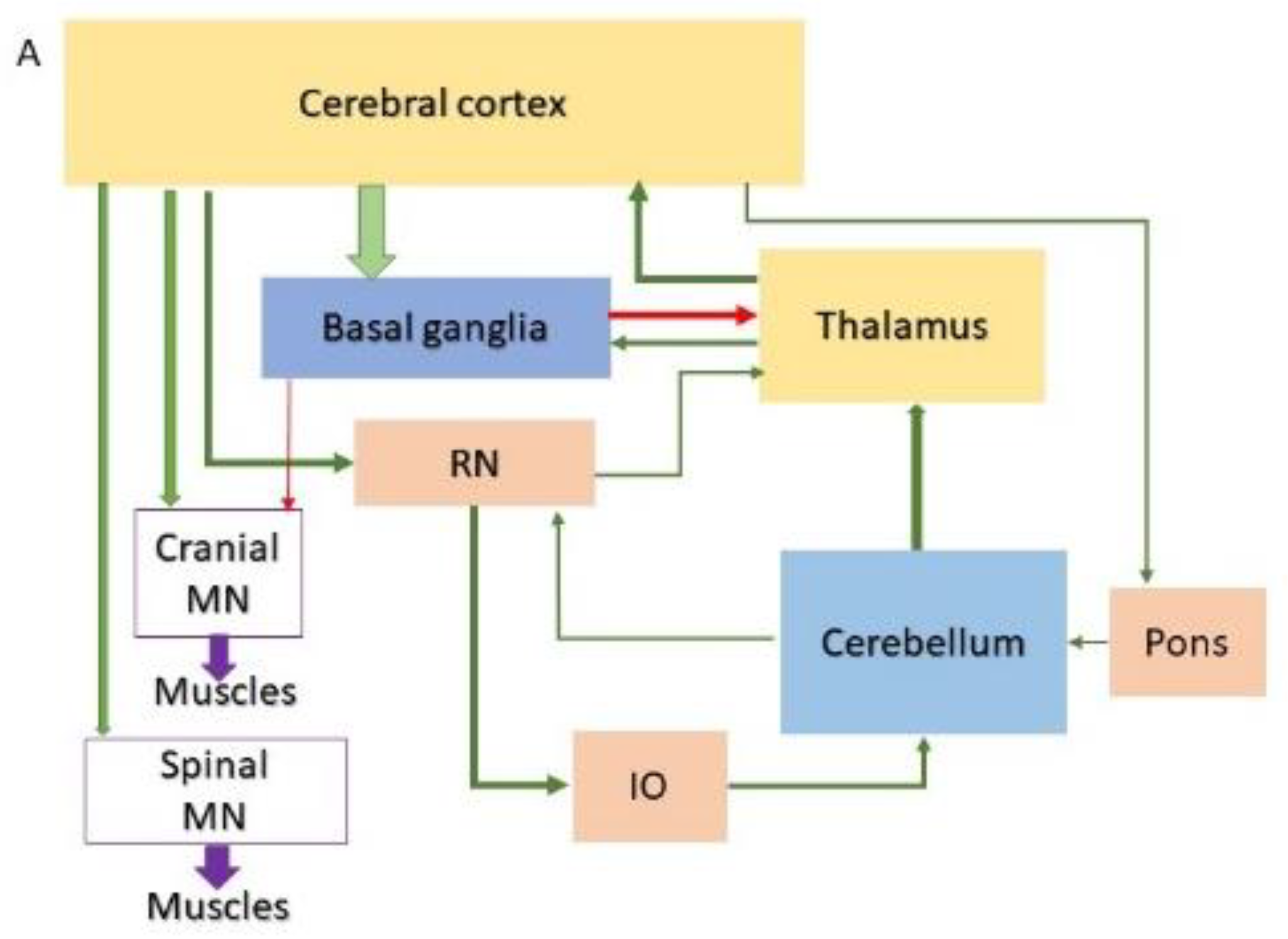 Preprints 173479 g002a
