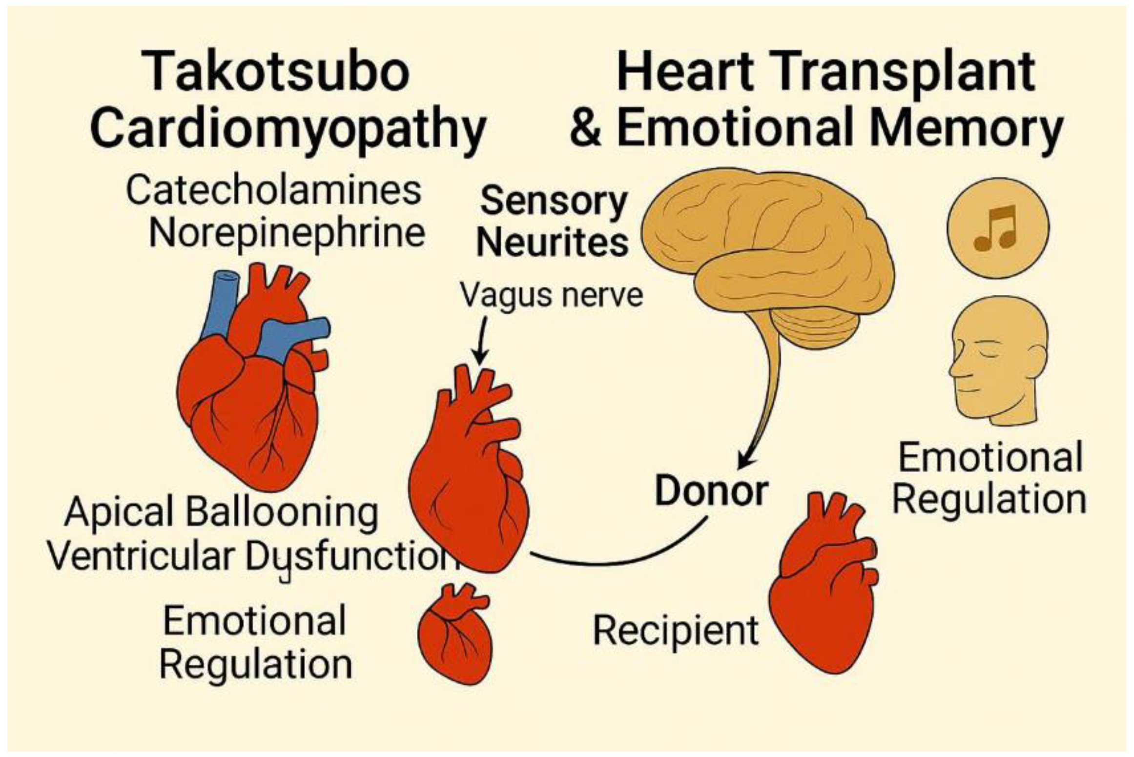 Preprints 161318 g001