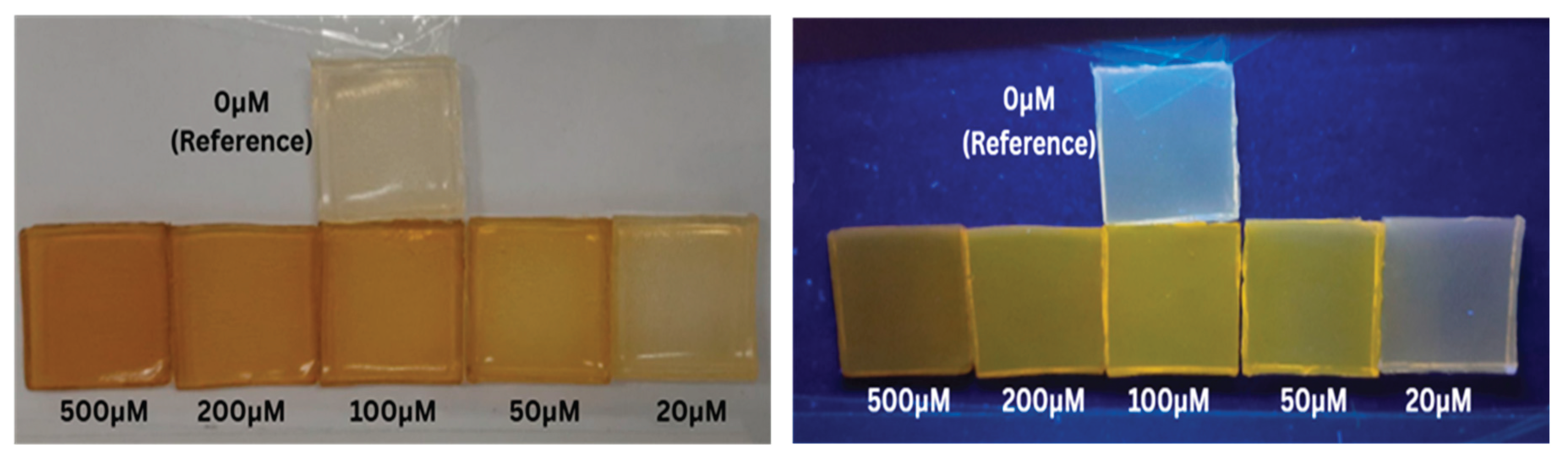 Preprints 198900 g001