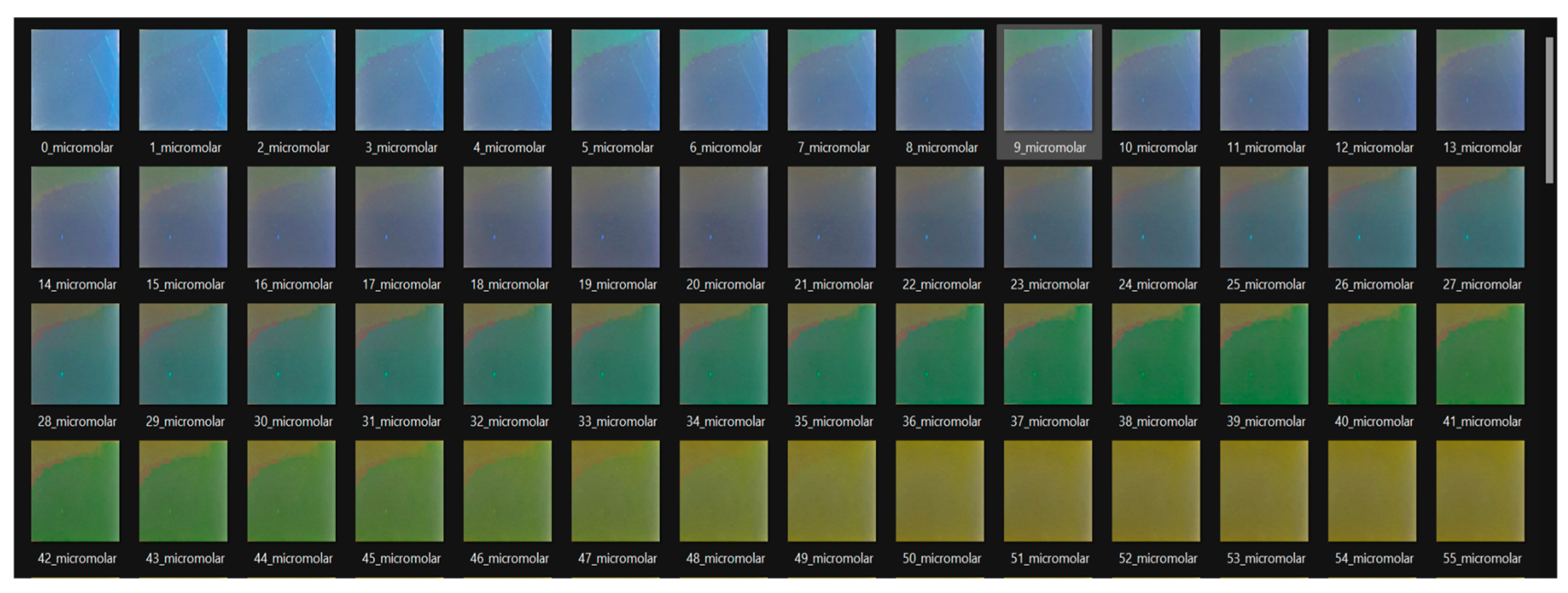 Preprints 198900 g007