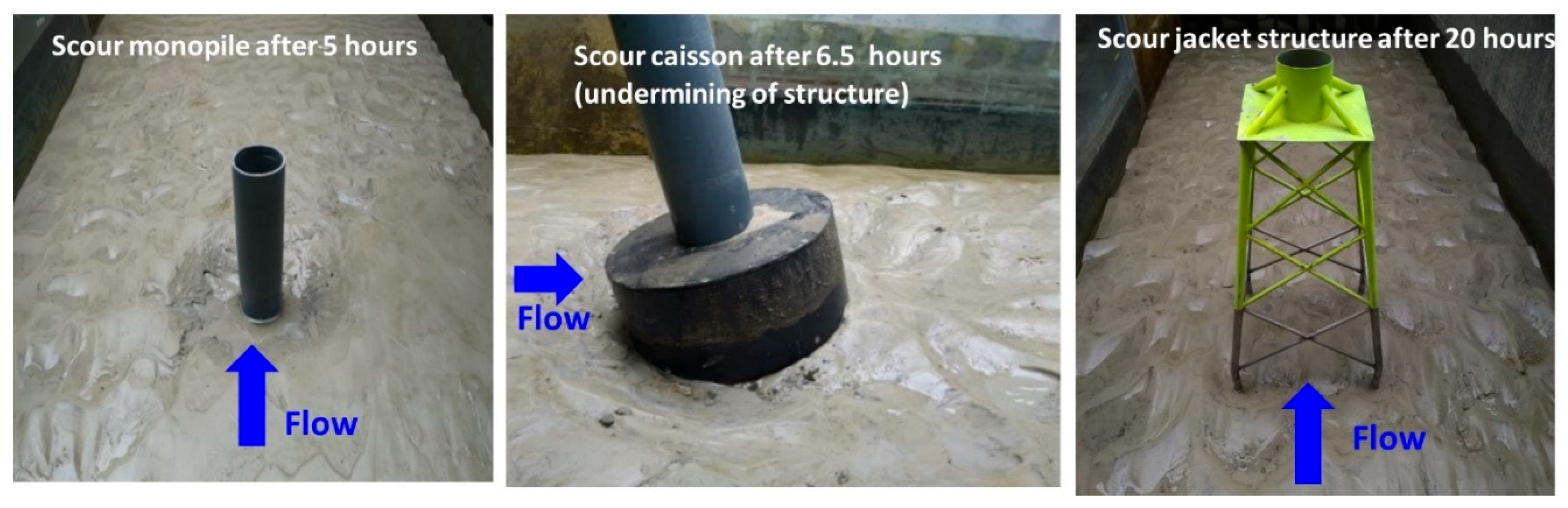 Preprints 143052 g006