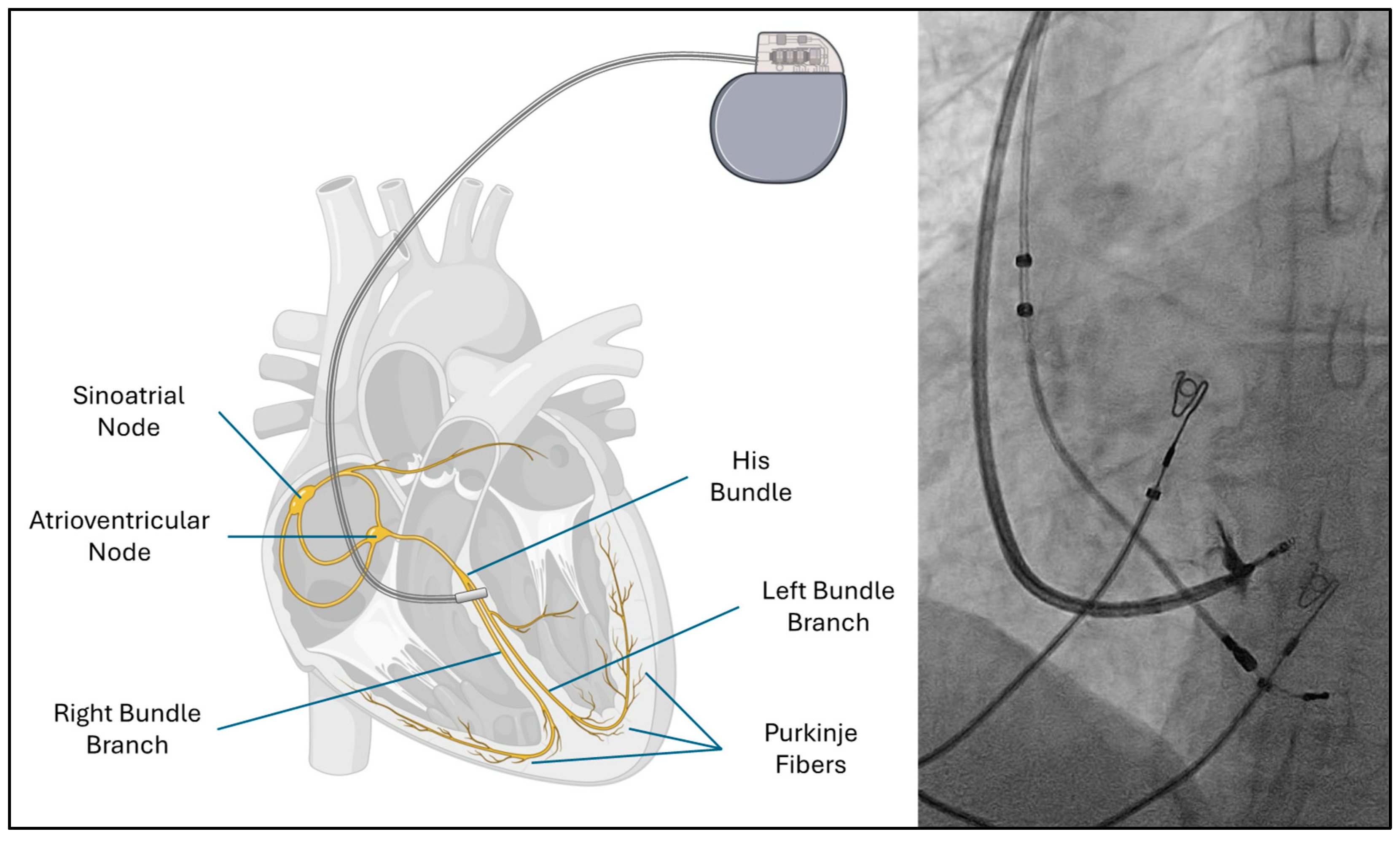 Preprints 149385 g001