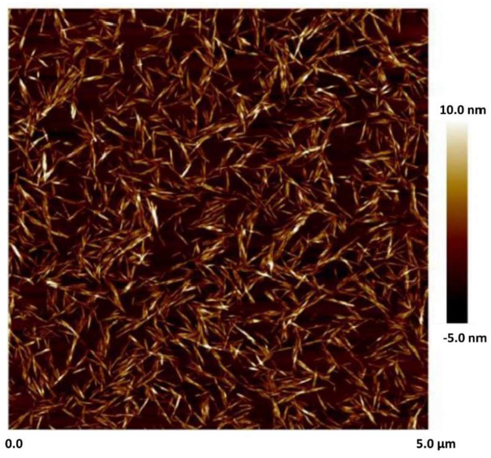 Preprints 142733 g001