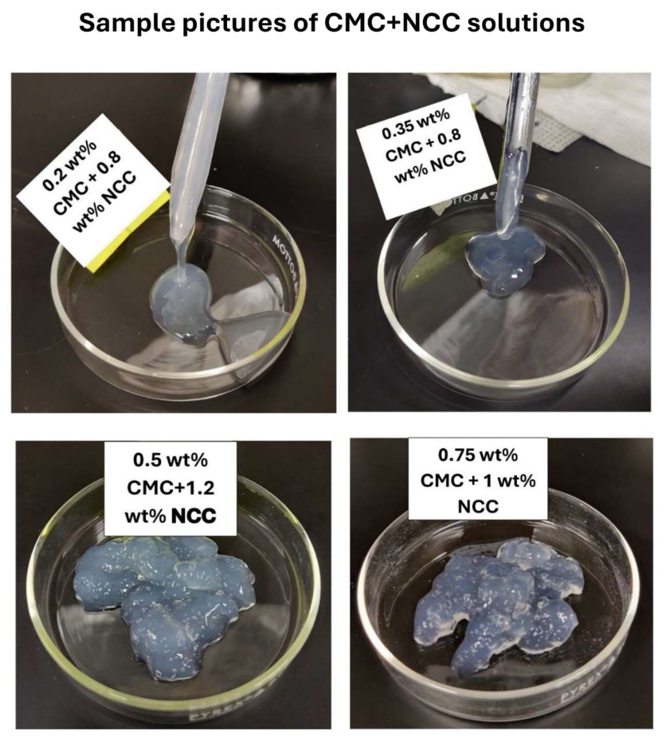 Preprints 142733 g007