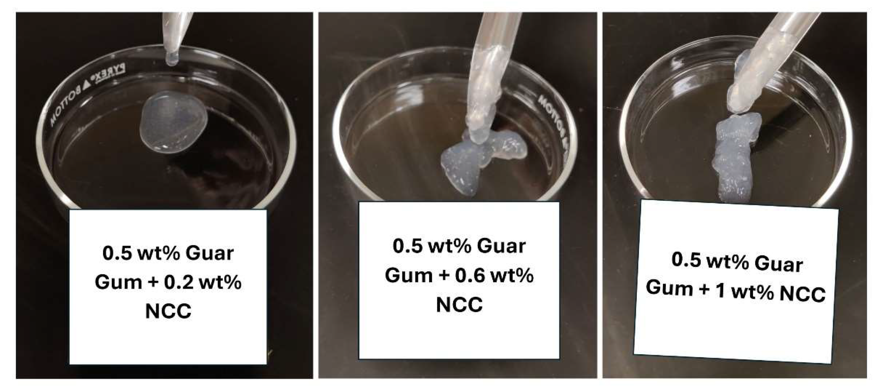 Preprints 142733 g013