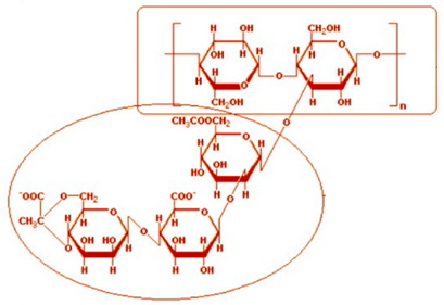 Preprints 142733 i004