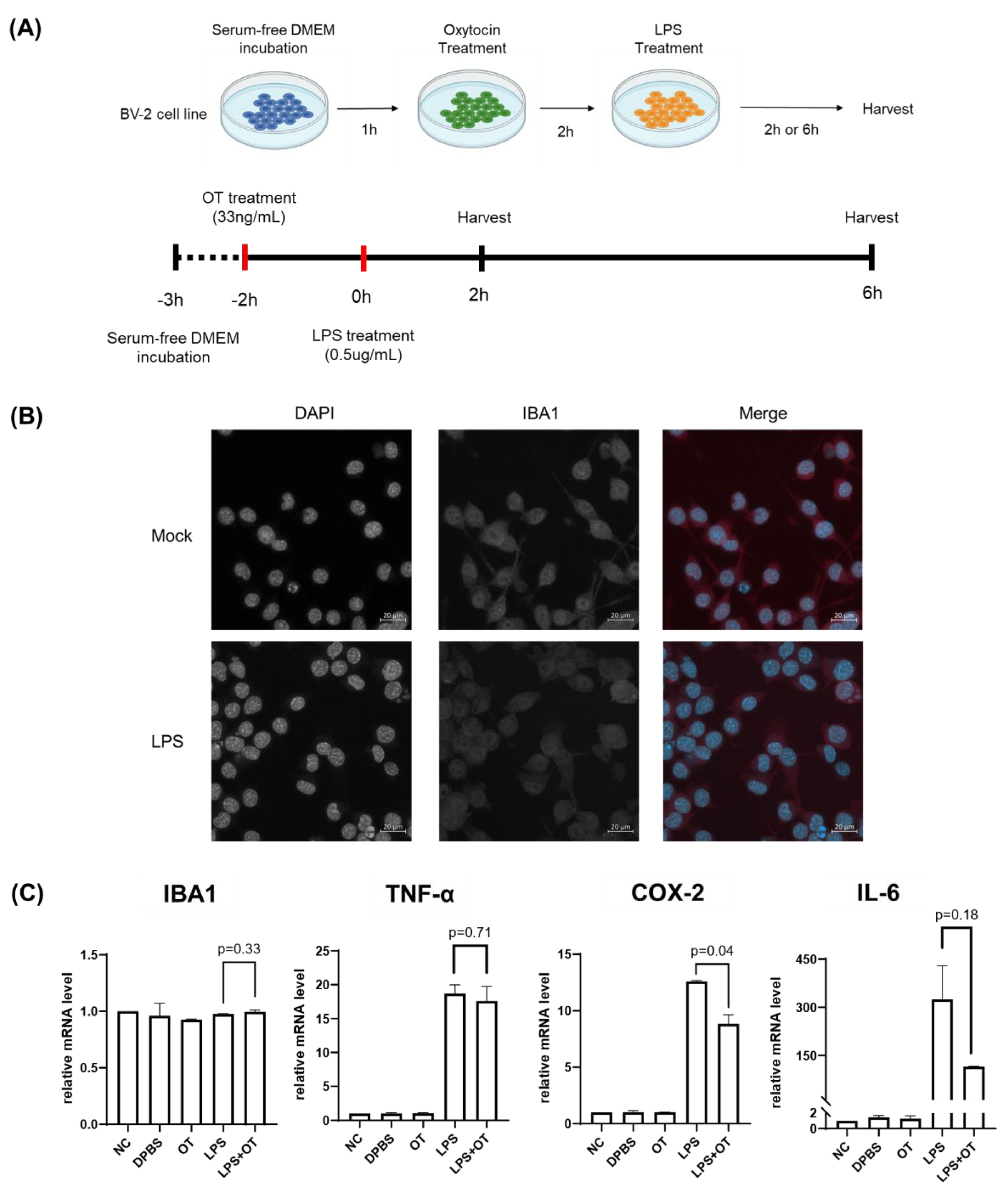 Preprints 183438 g001