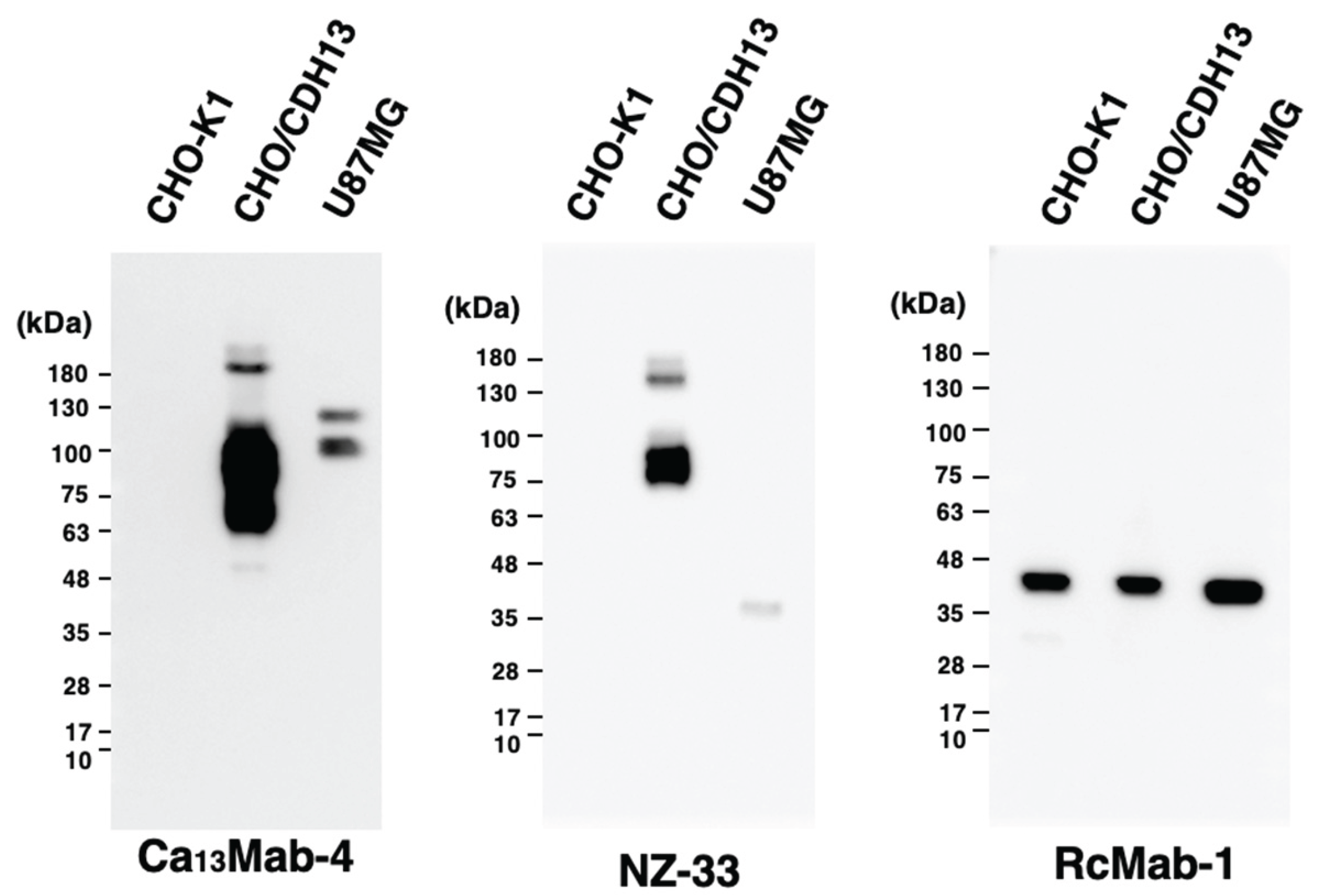 Preprints 188602 g006