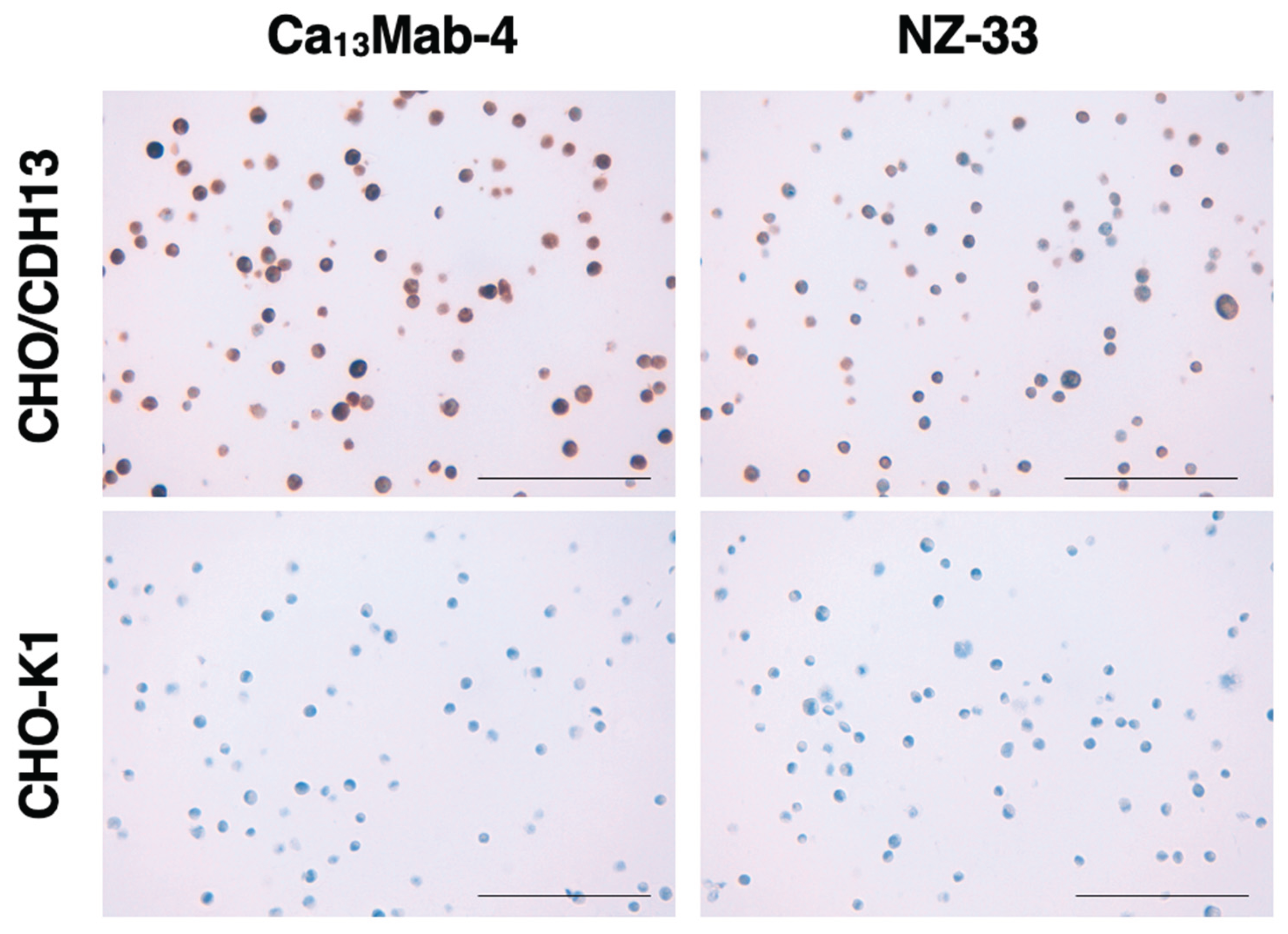 Preprints 188602 g007