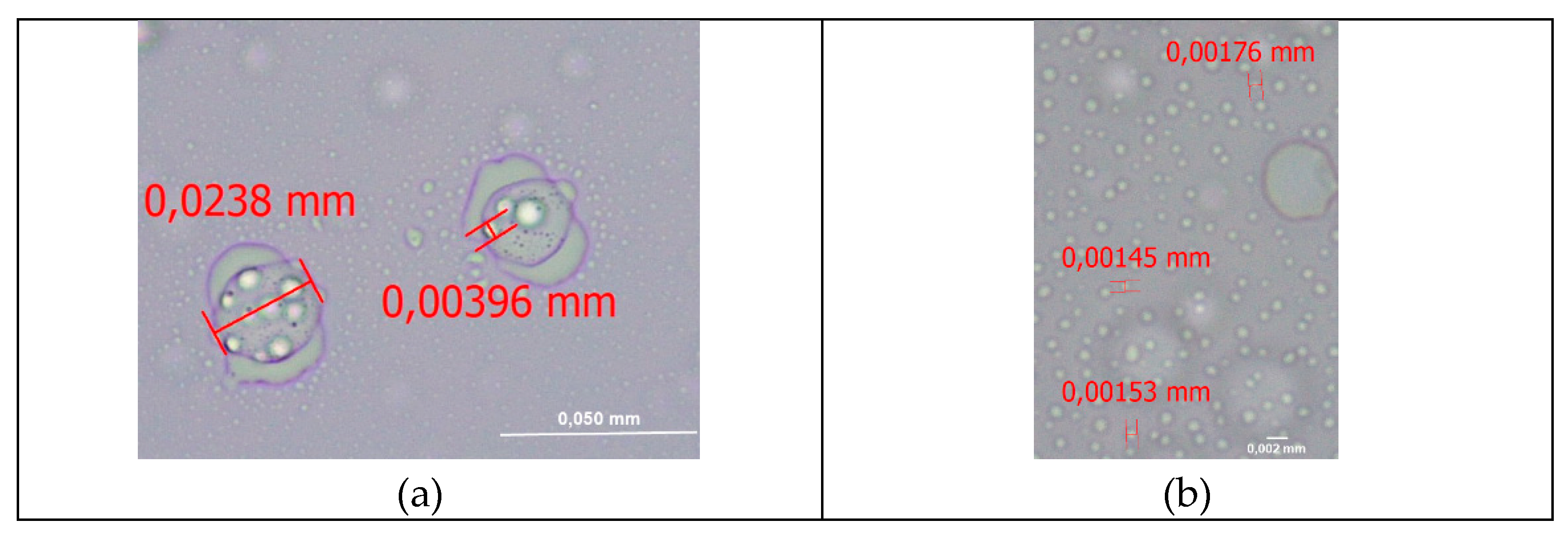 Preprints 185833 g005