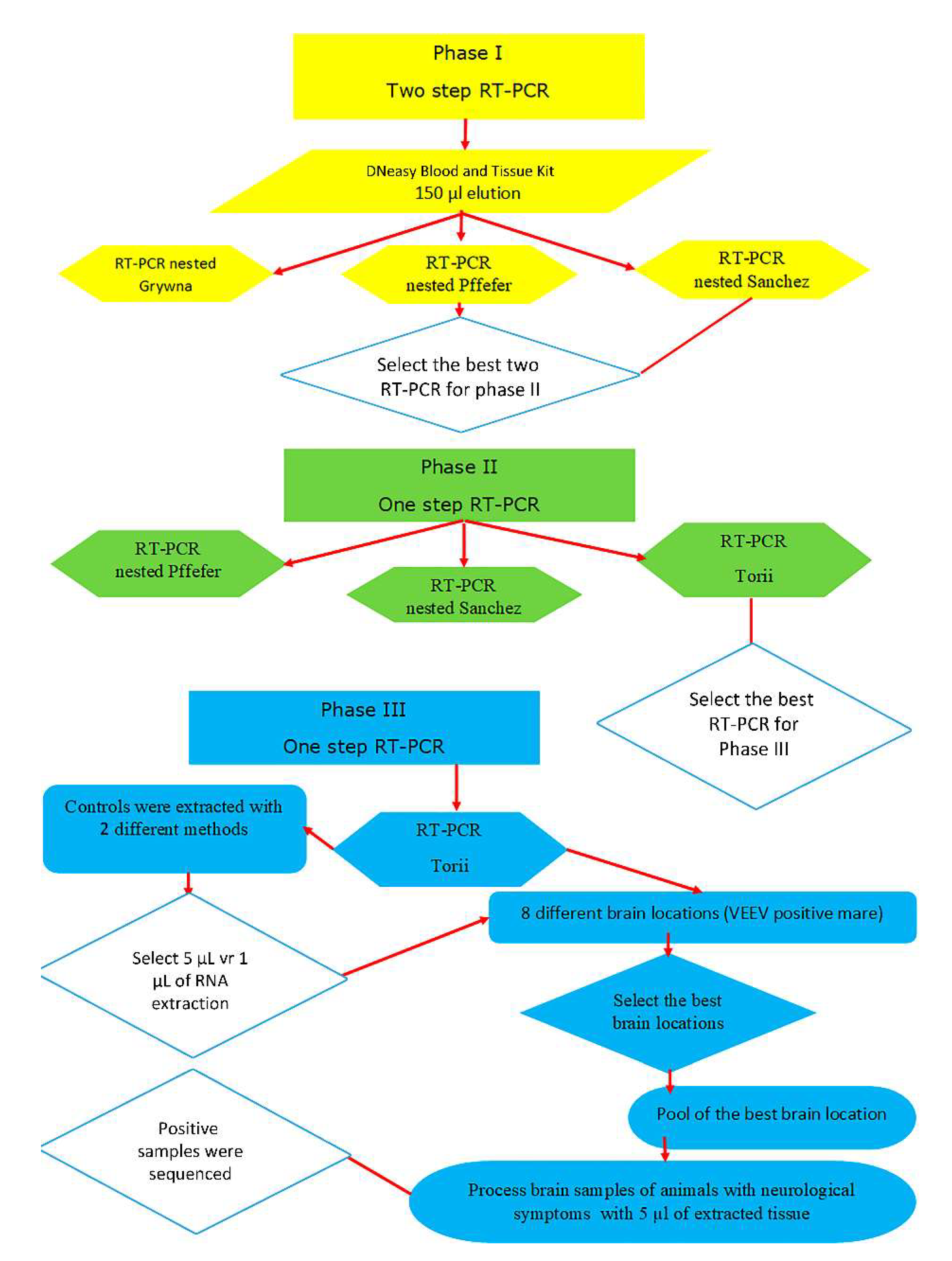 Preprints 76676 g001