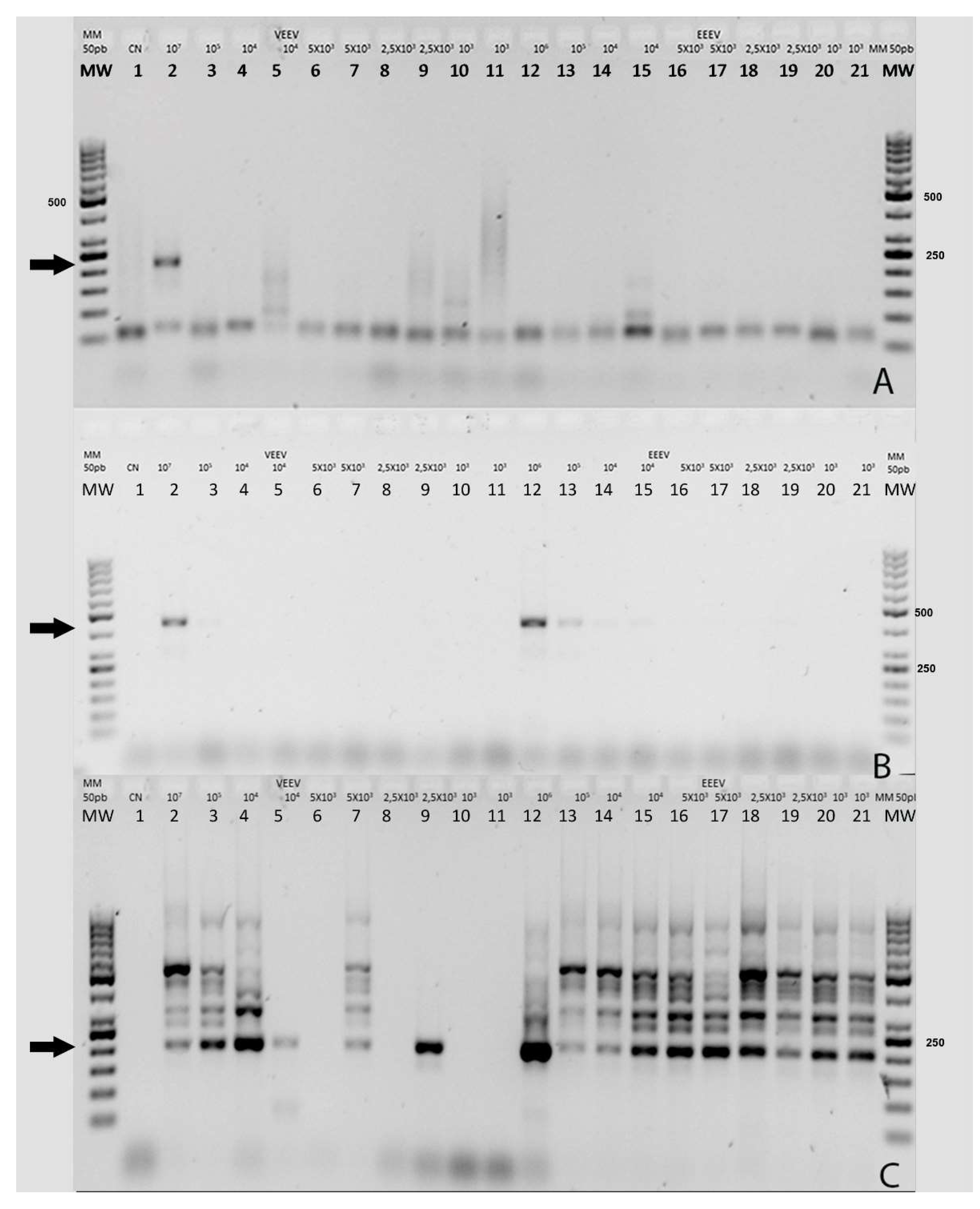 Preprints 76676 g002