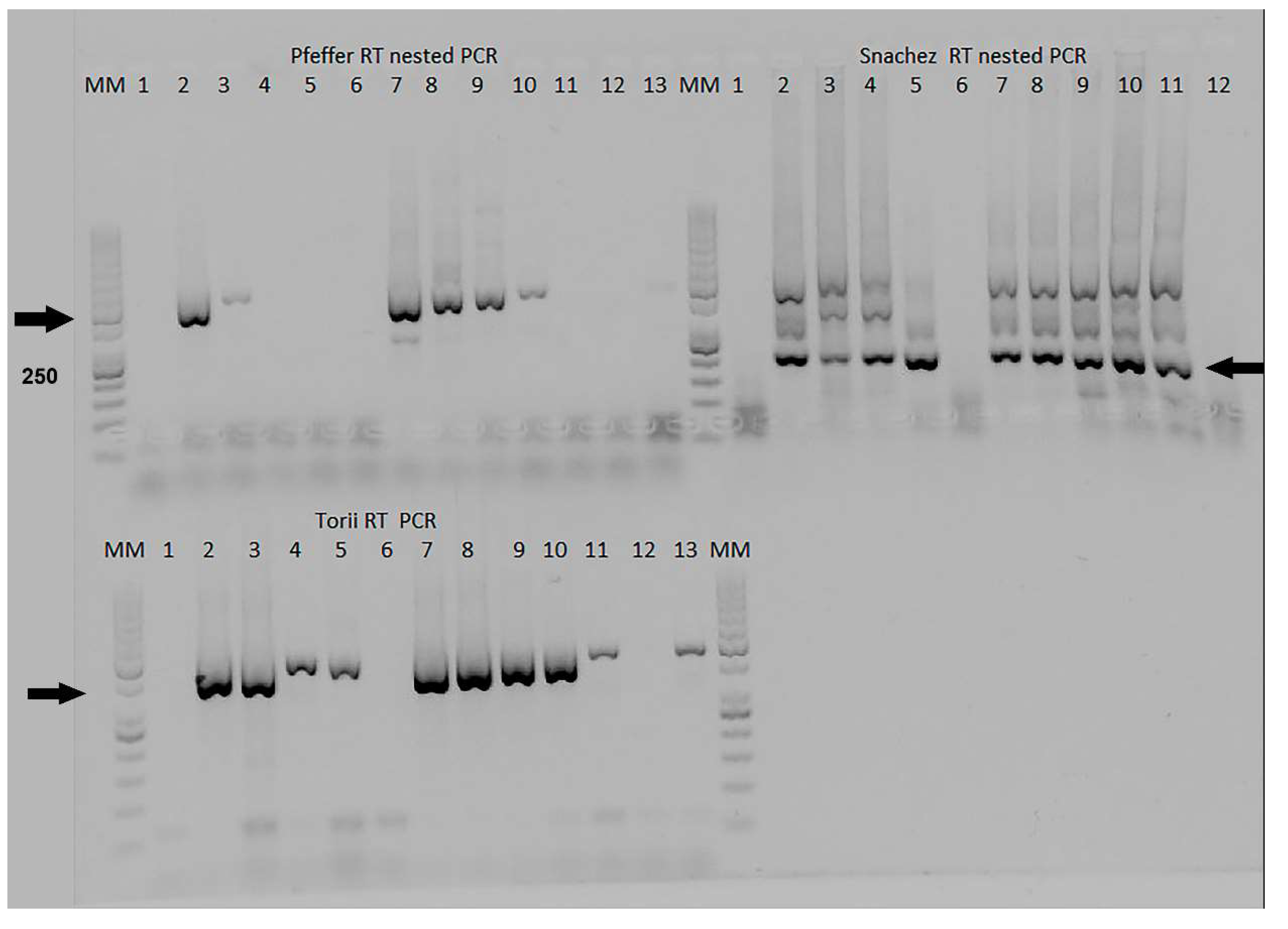 Preprints 76676 g003
