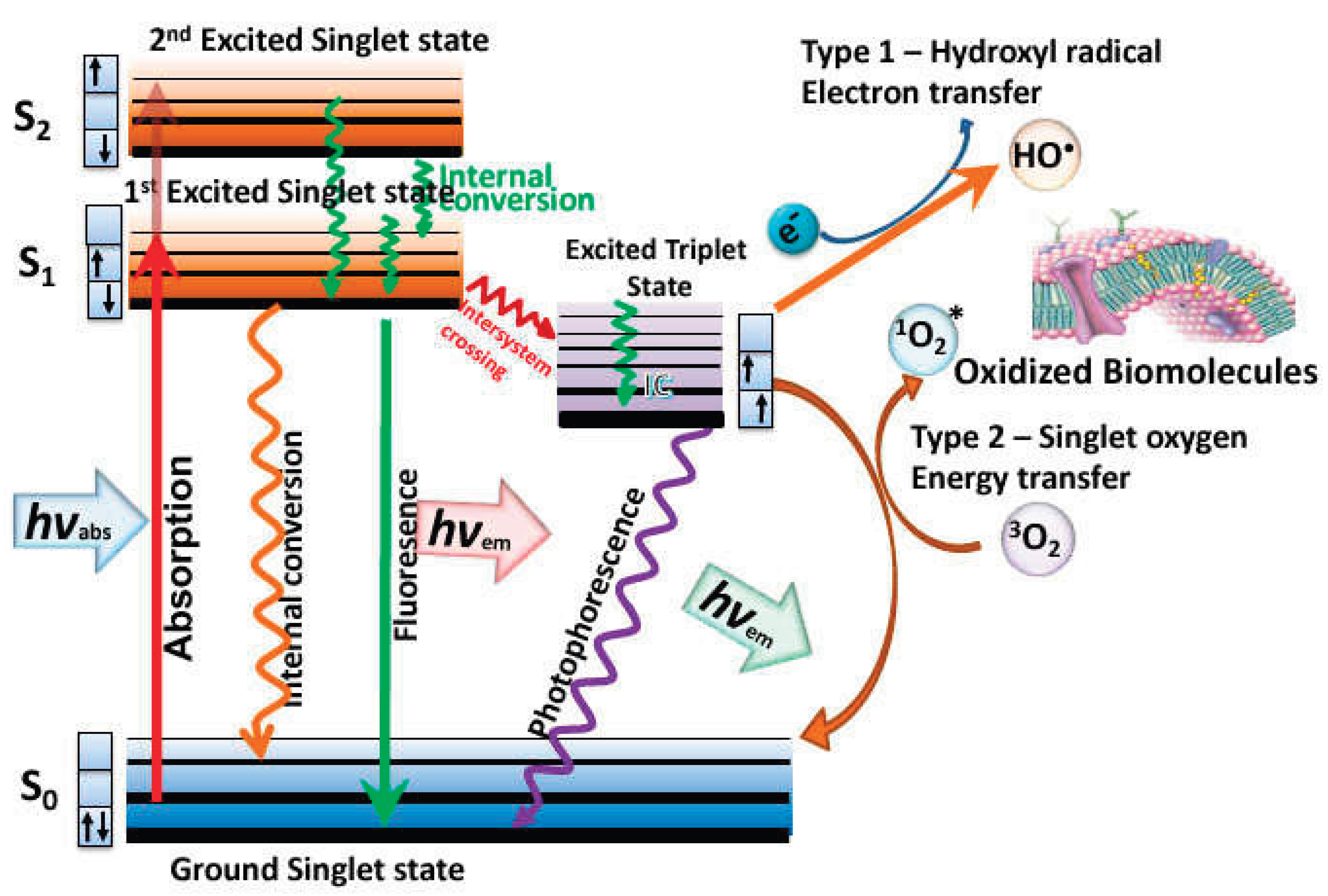 Preprints 189971 g001