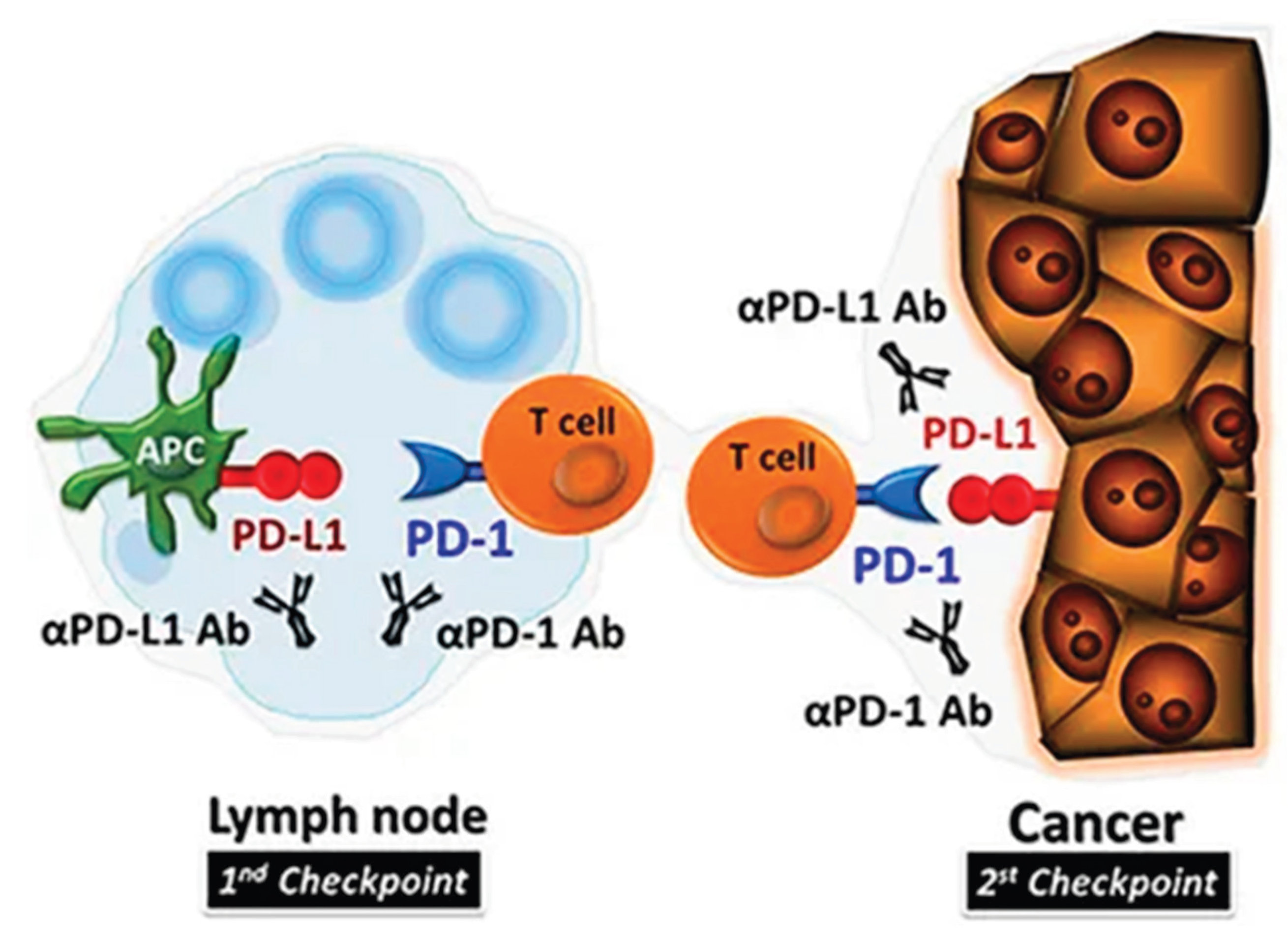 Preprints 189971 g002