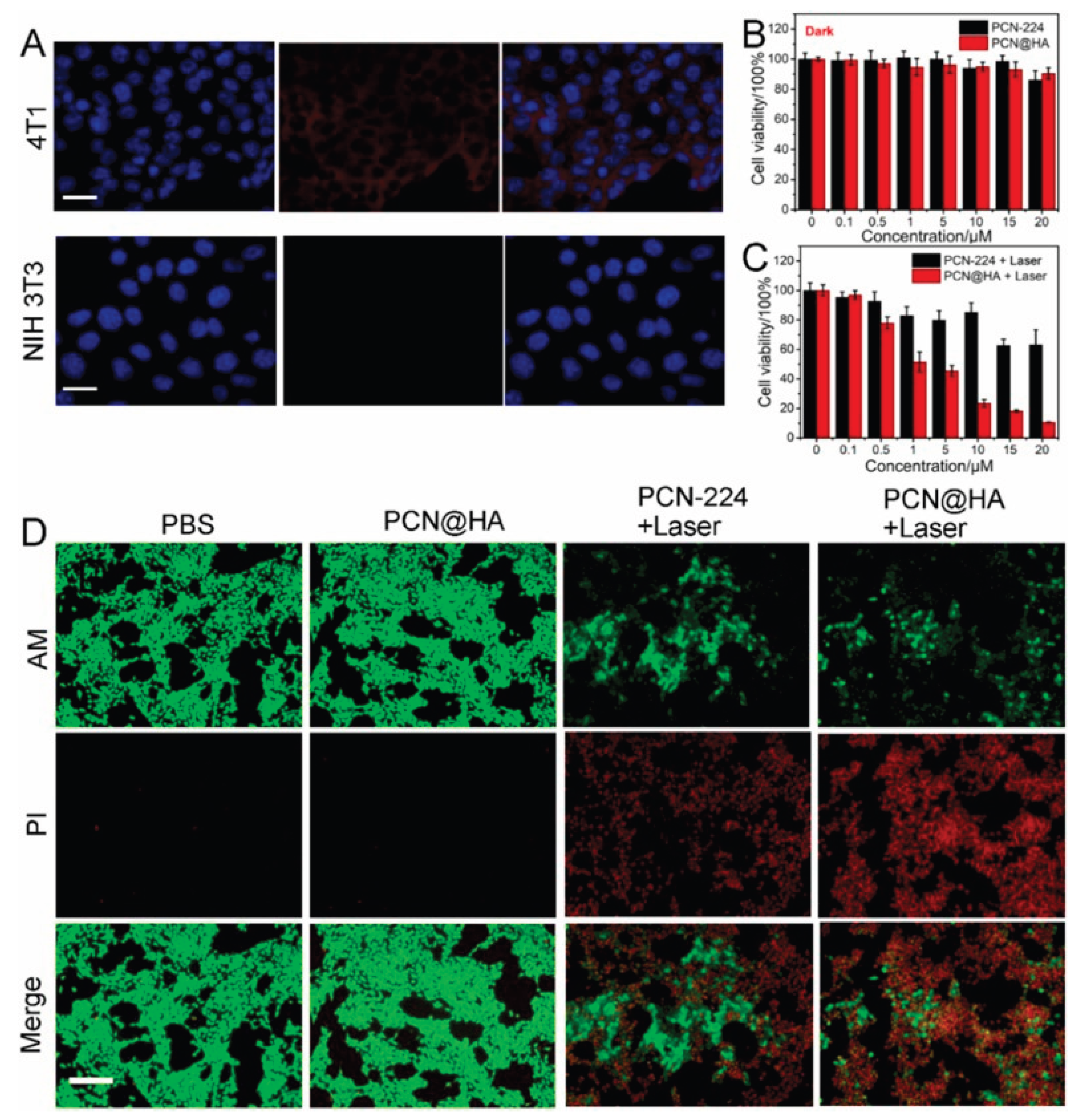 Preprints 189971 g006