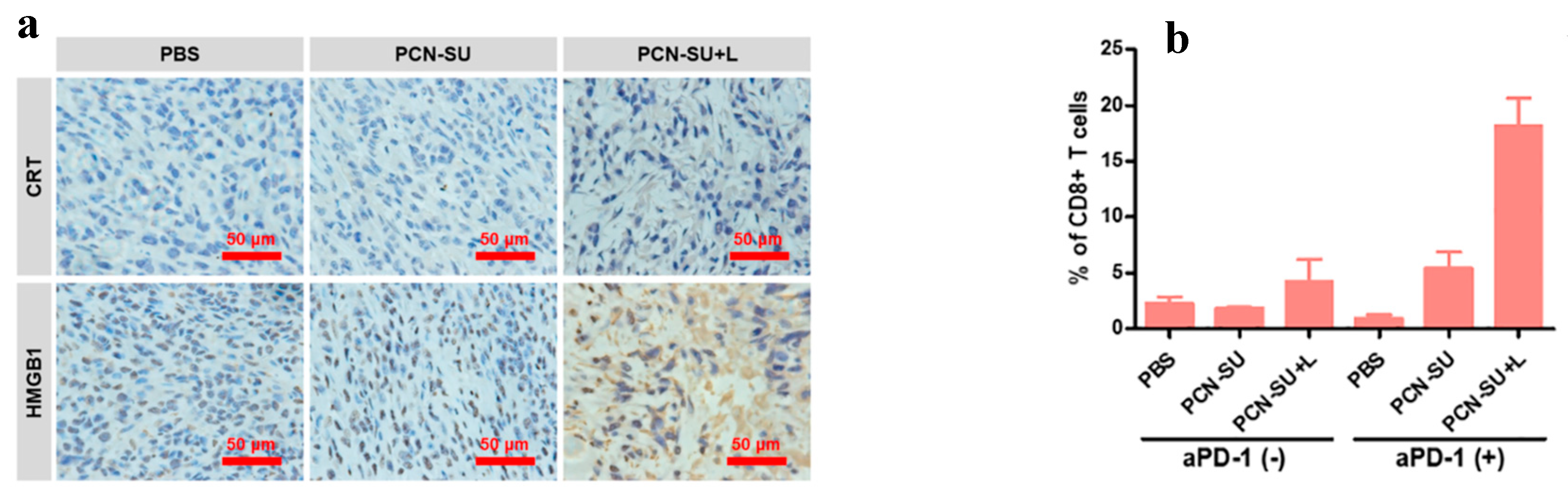 Preprints 189971 g008