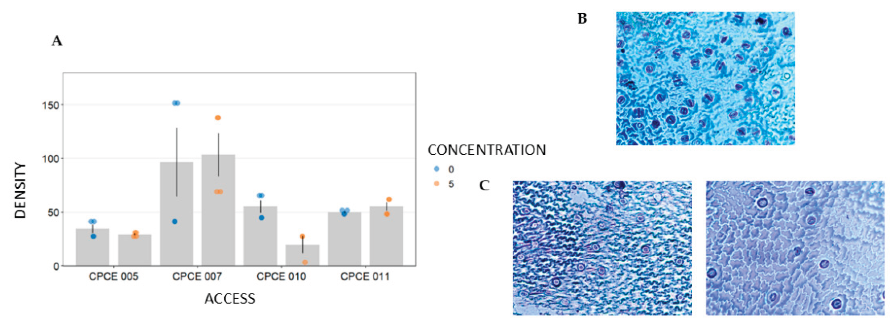Preprints 189872 g002
