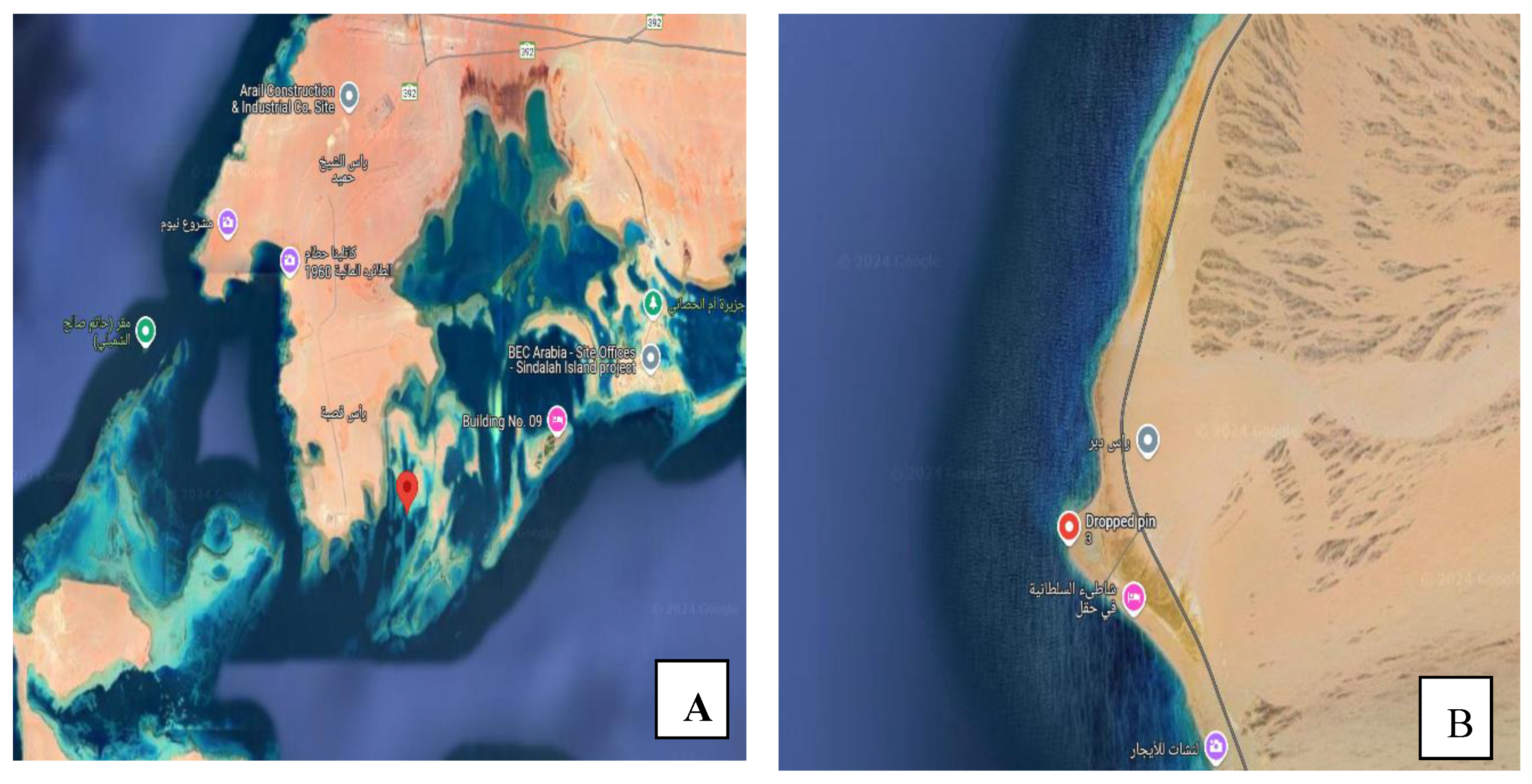 Preprints 144642 g001