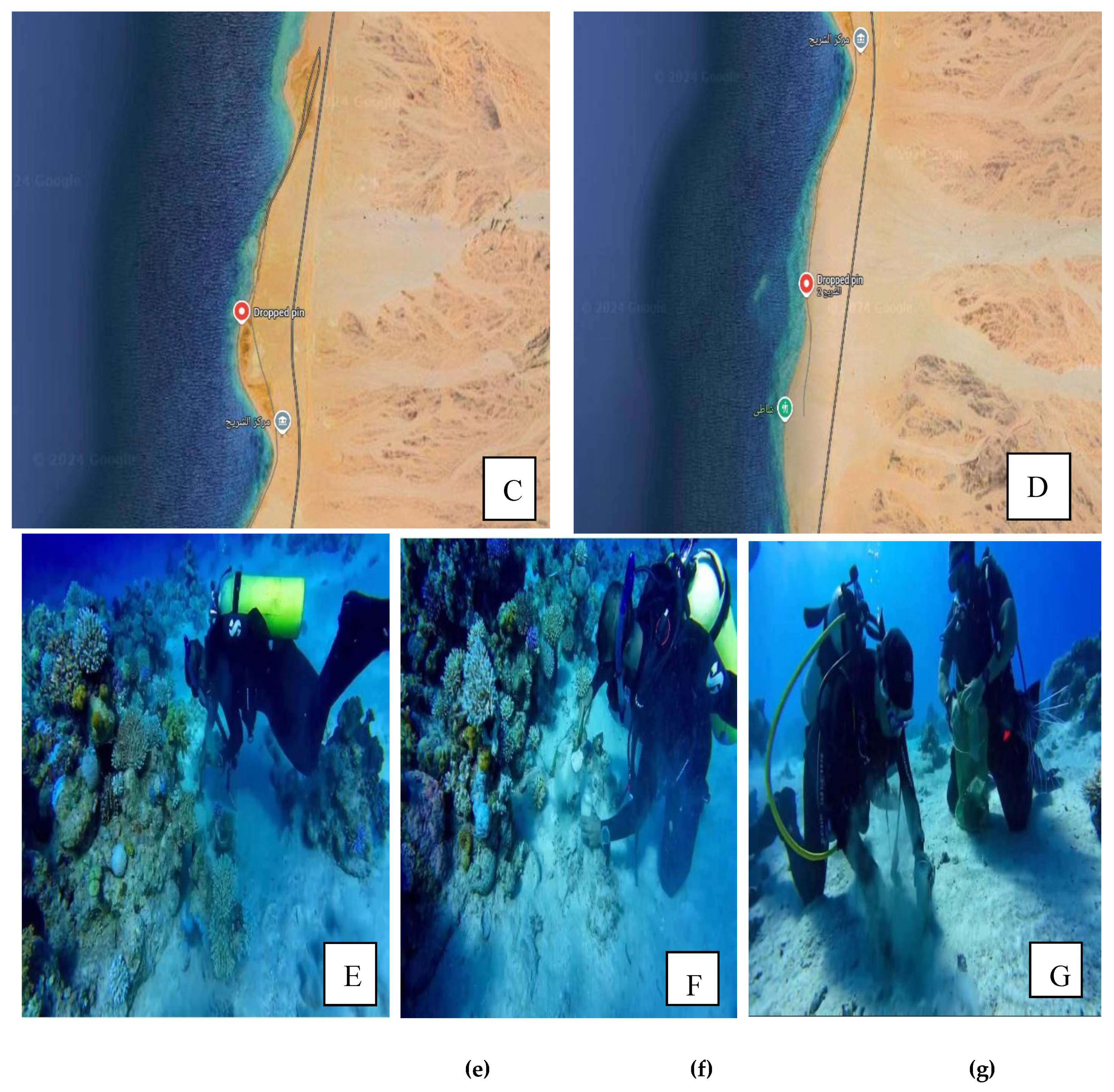 Preprints 144642 g002