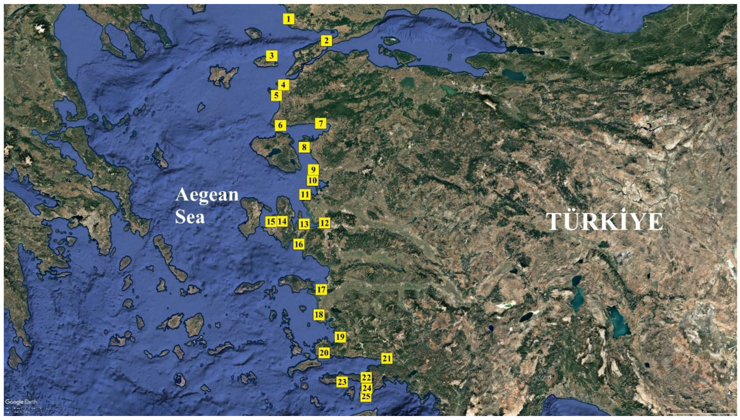Preprints 207937 g001