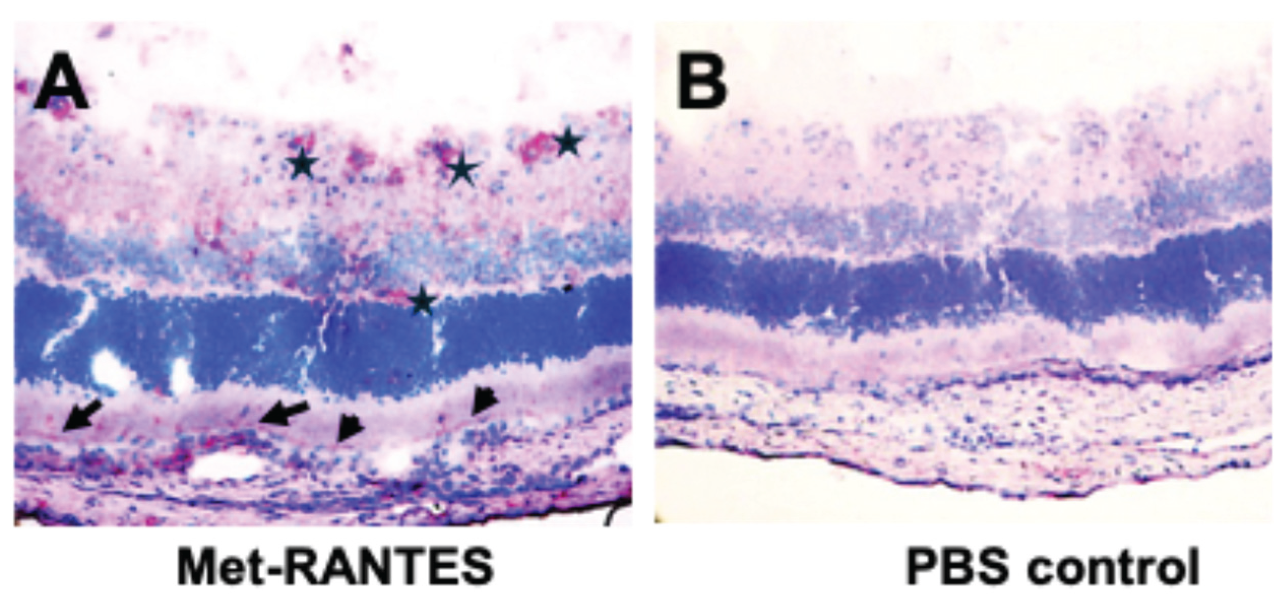 Preprints 190379 g001