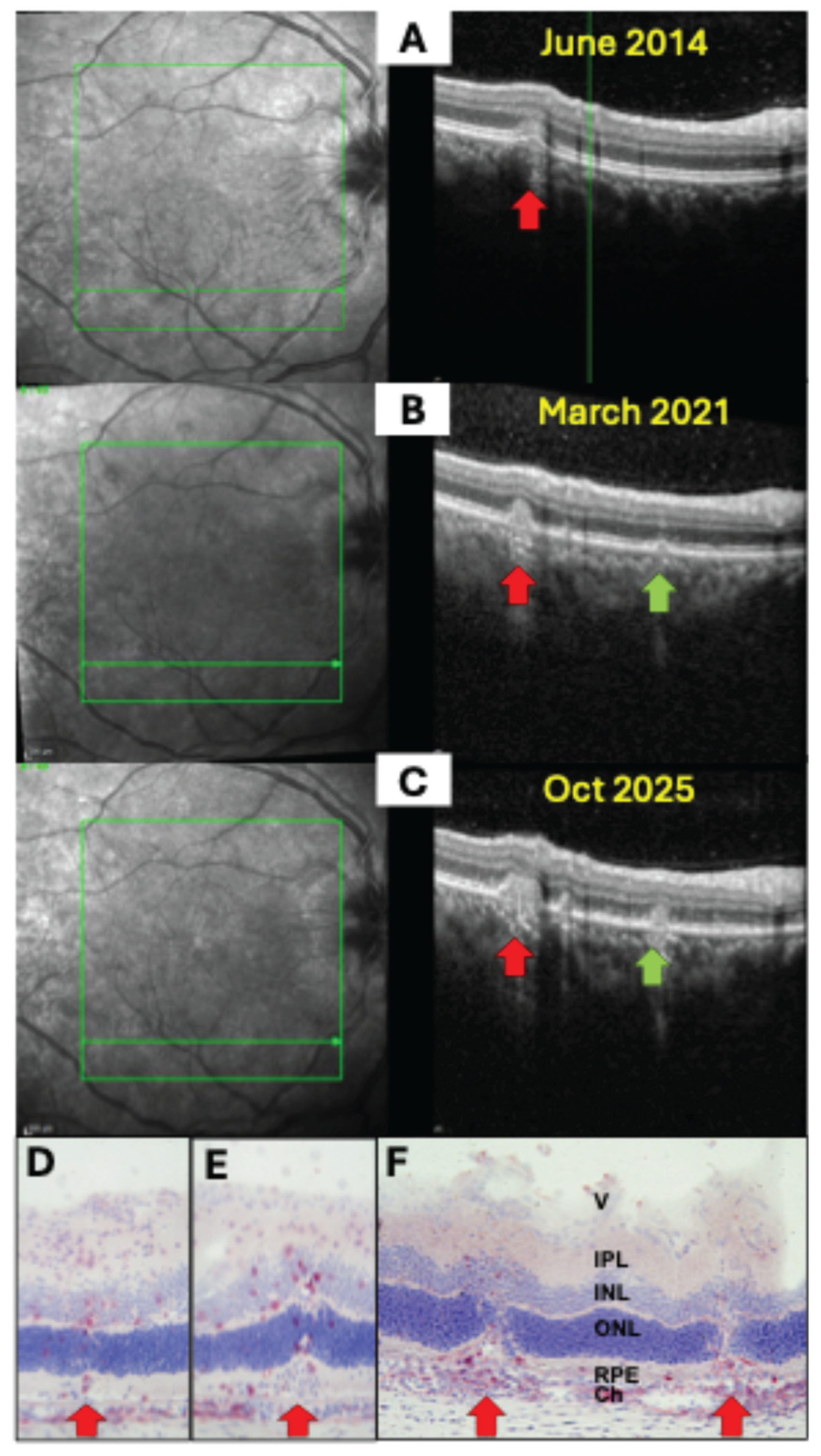 Preprints 190379 g002