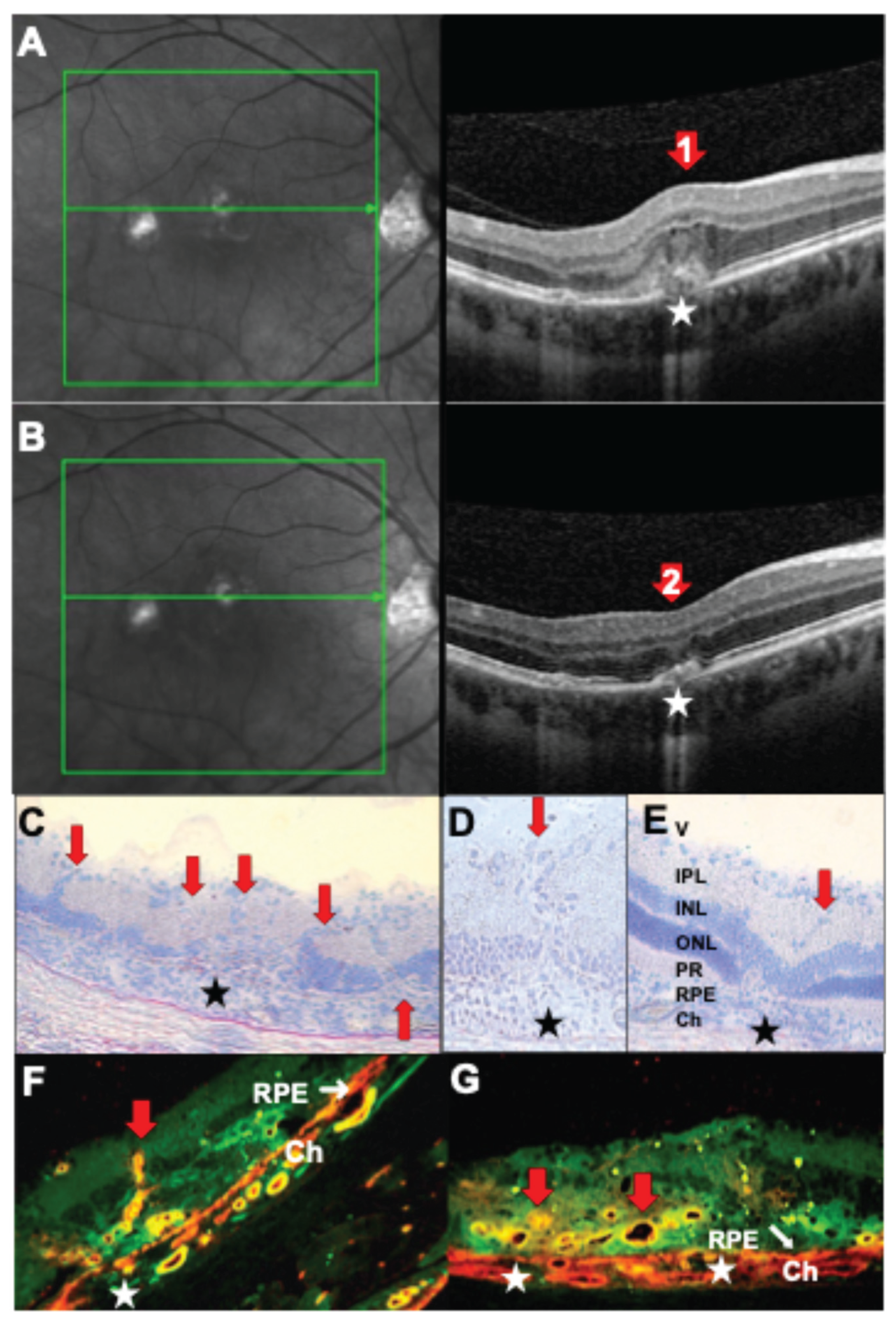 Preprints 190379 g003