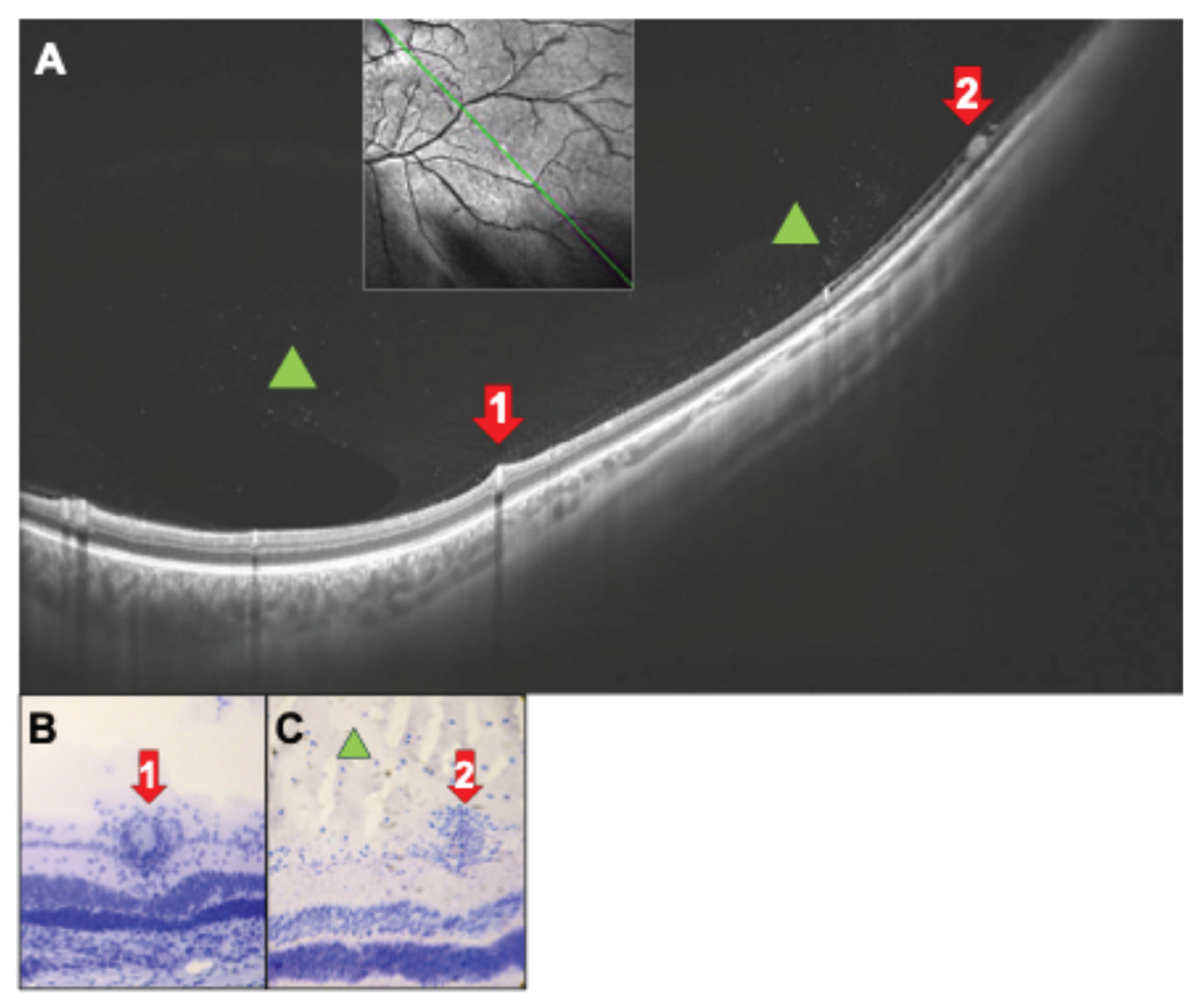 Preprints 190379 g007