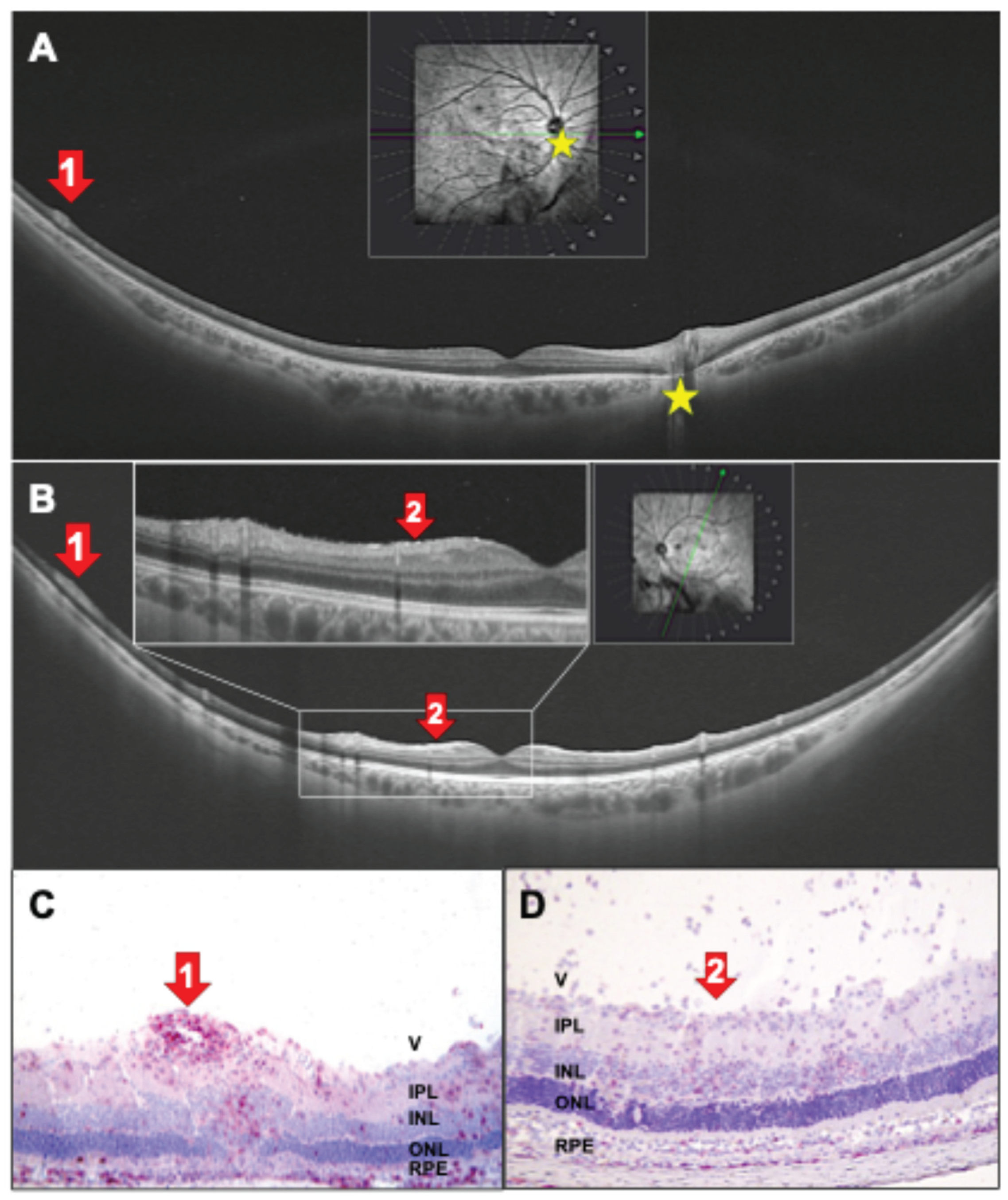 Preprints 190379 g009