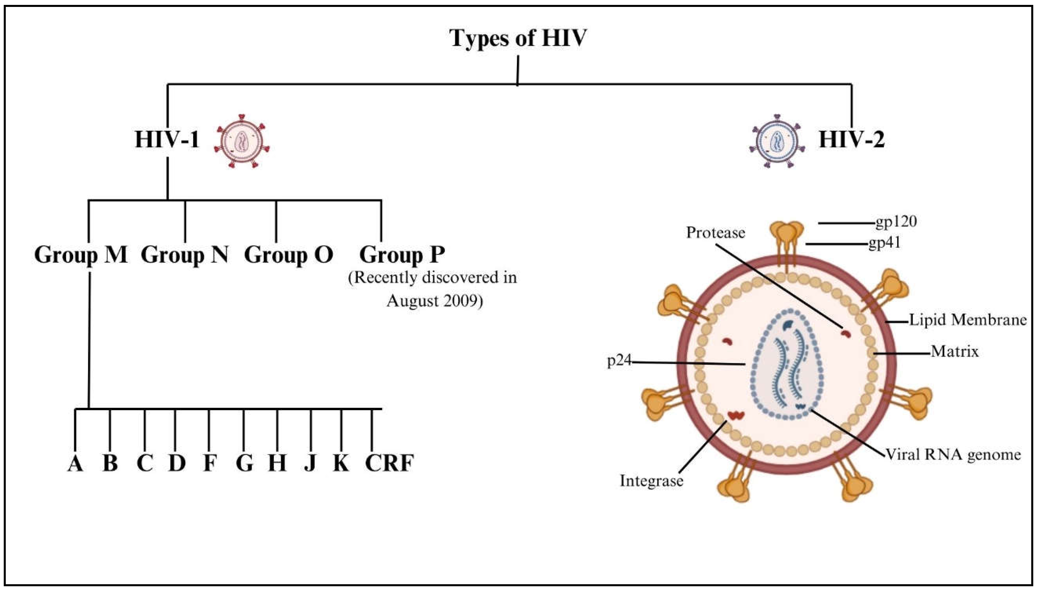 Preprints 155603 g001