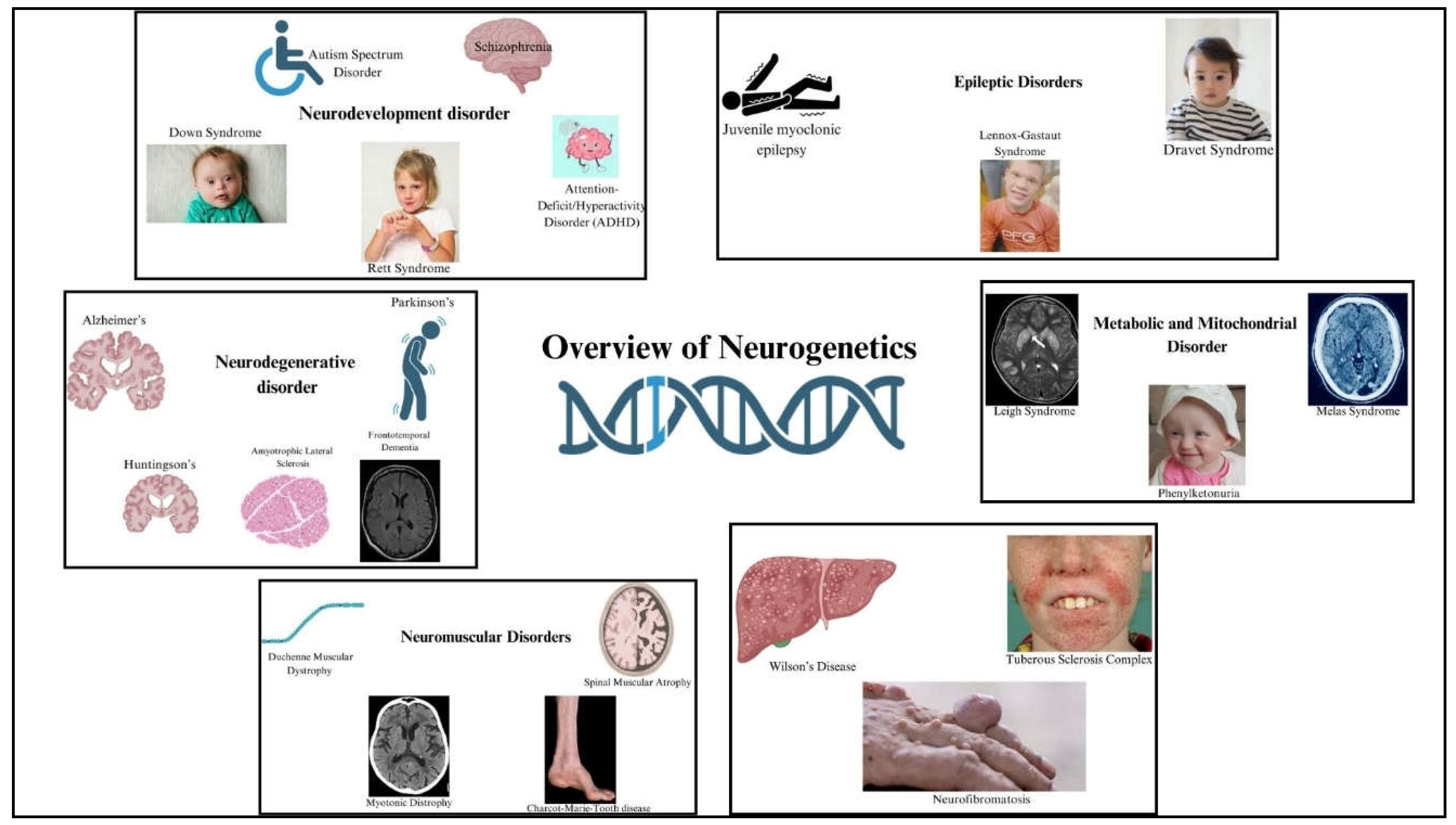 Preprints 155603 g002